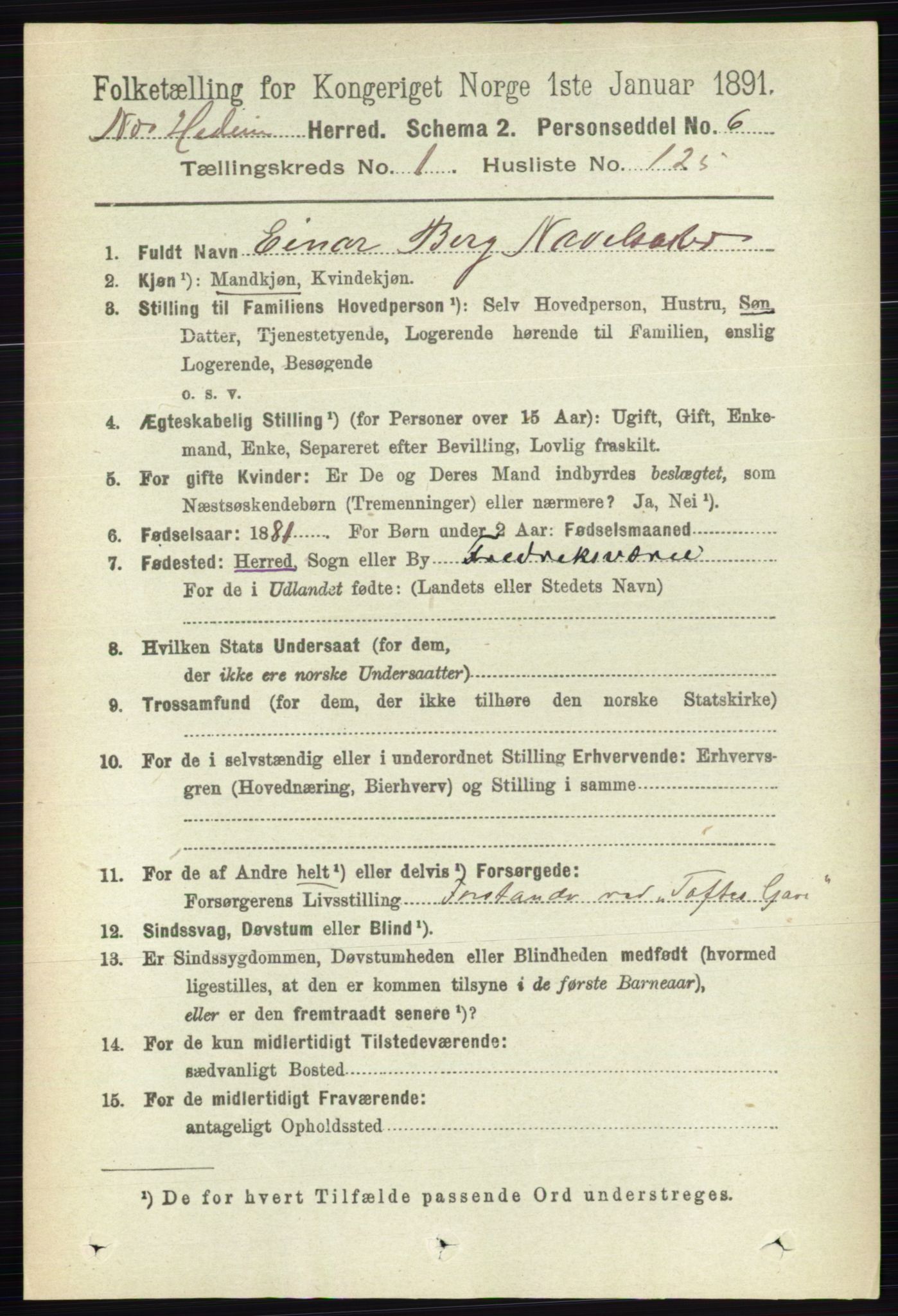 RA, 1891 census for 0411 Nes, 1891, p. 900