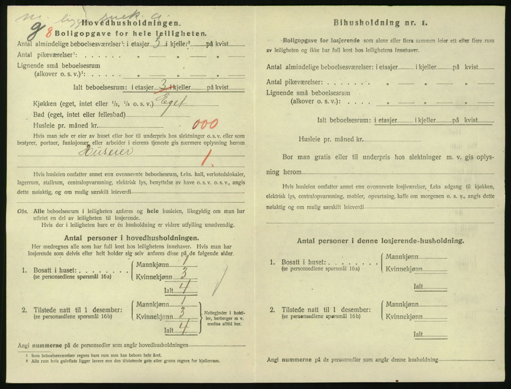 SAKO, 1920 census for Larvik, 1920, p. 3409