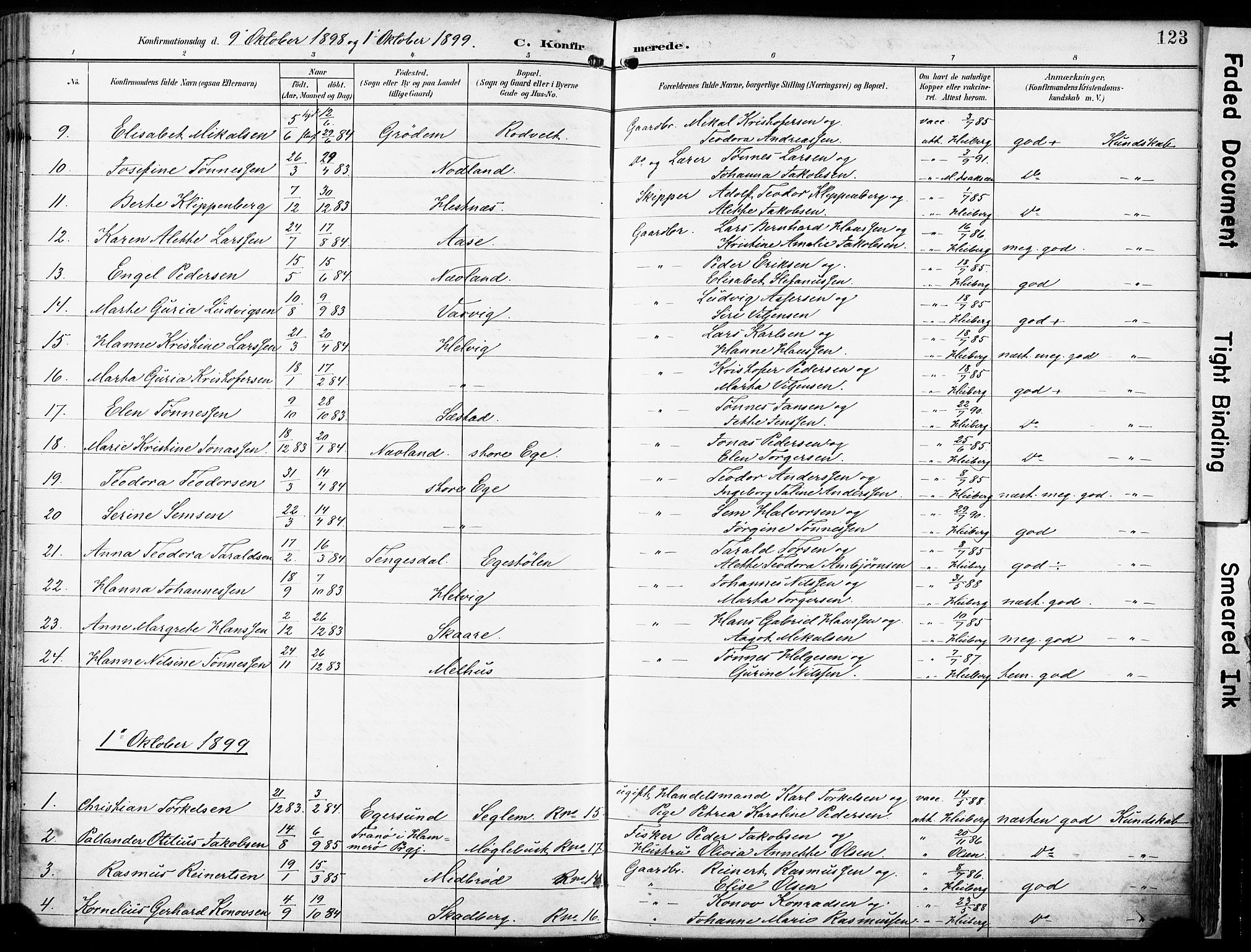 Eigersund sokneprestkontor, AV/SAST-A-101807/S08/L0018: Parish register (official) no. A 17, 1892-1905, p. 123