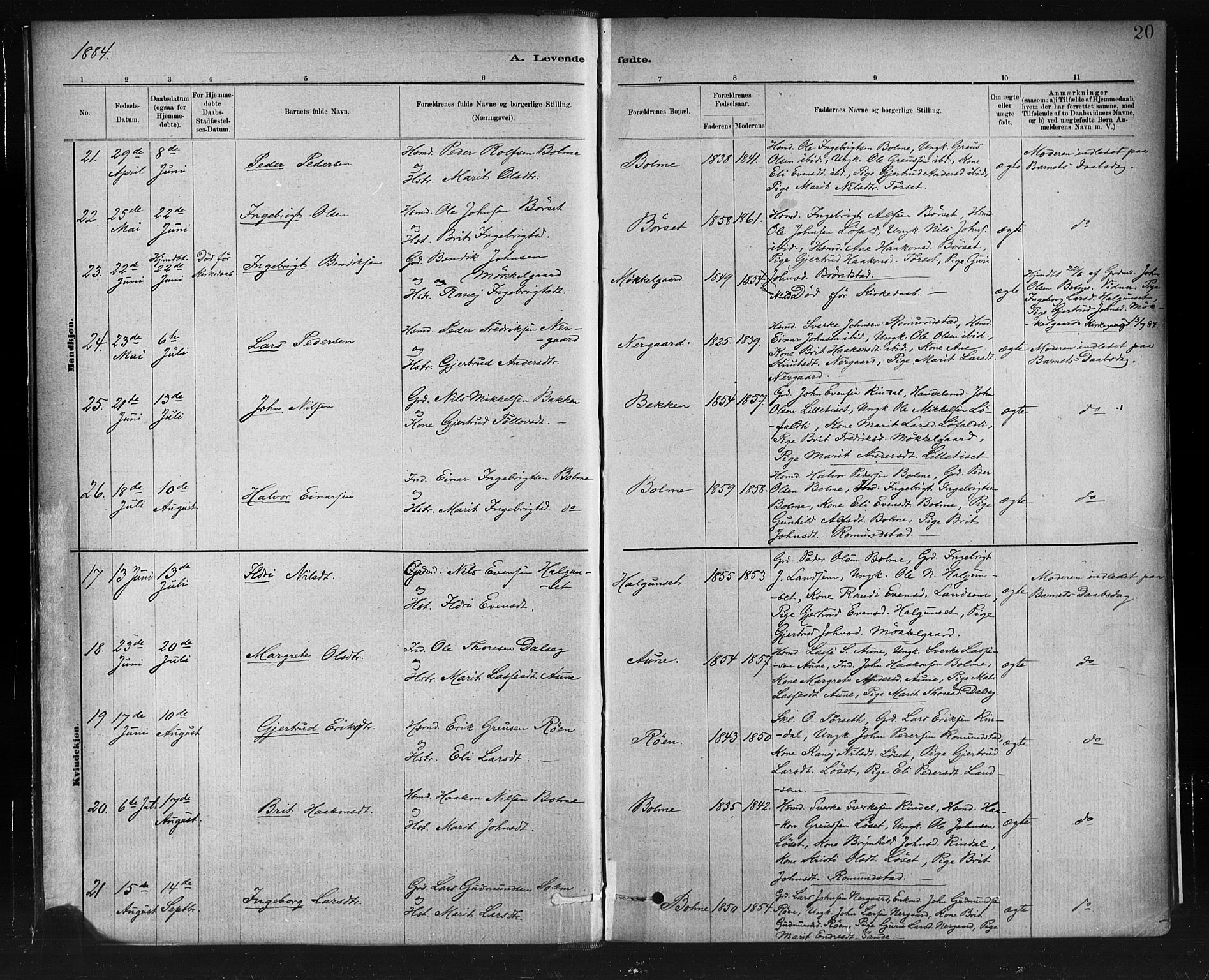 Ministerialprotokoller, klokkerbøker og fødselsregistre - Møre og Romsdal, AV/SAT-A-1454/598/L1069: Parish register (official) no. 598A03, 1882-1895, p. 20