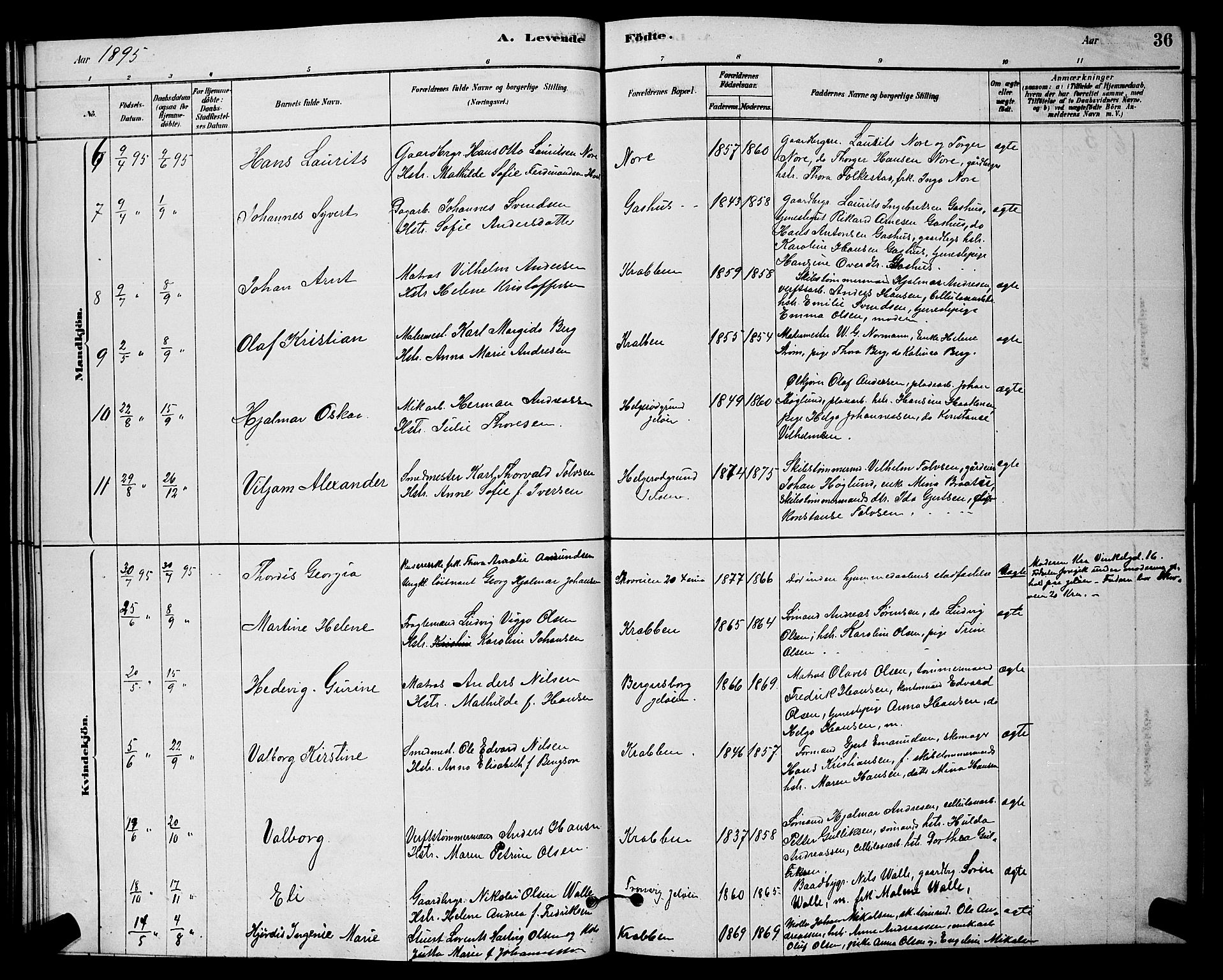 Moss prestekontor Kirkebøker, AV/SAO-A-2003/G/Gb/L0001: Parish register (copy) no. II 1, 1878-1900, p. 36