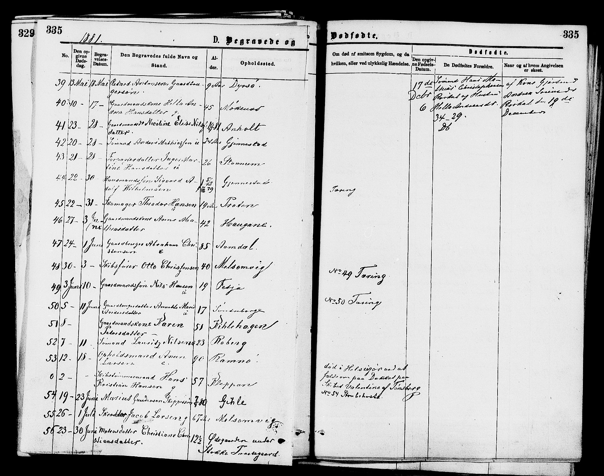 Stokke kirkebøker, AV/SAKO-A-320/F/Fa/L0009: Parish register (official) no. I 9, 1872-1883, p. 335