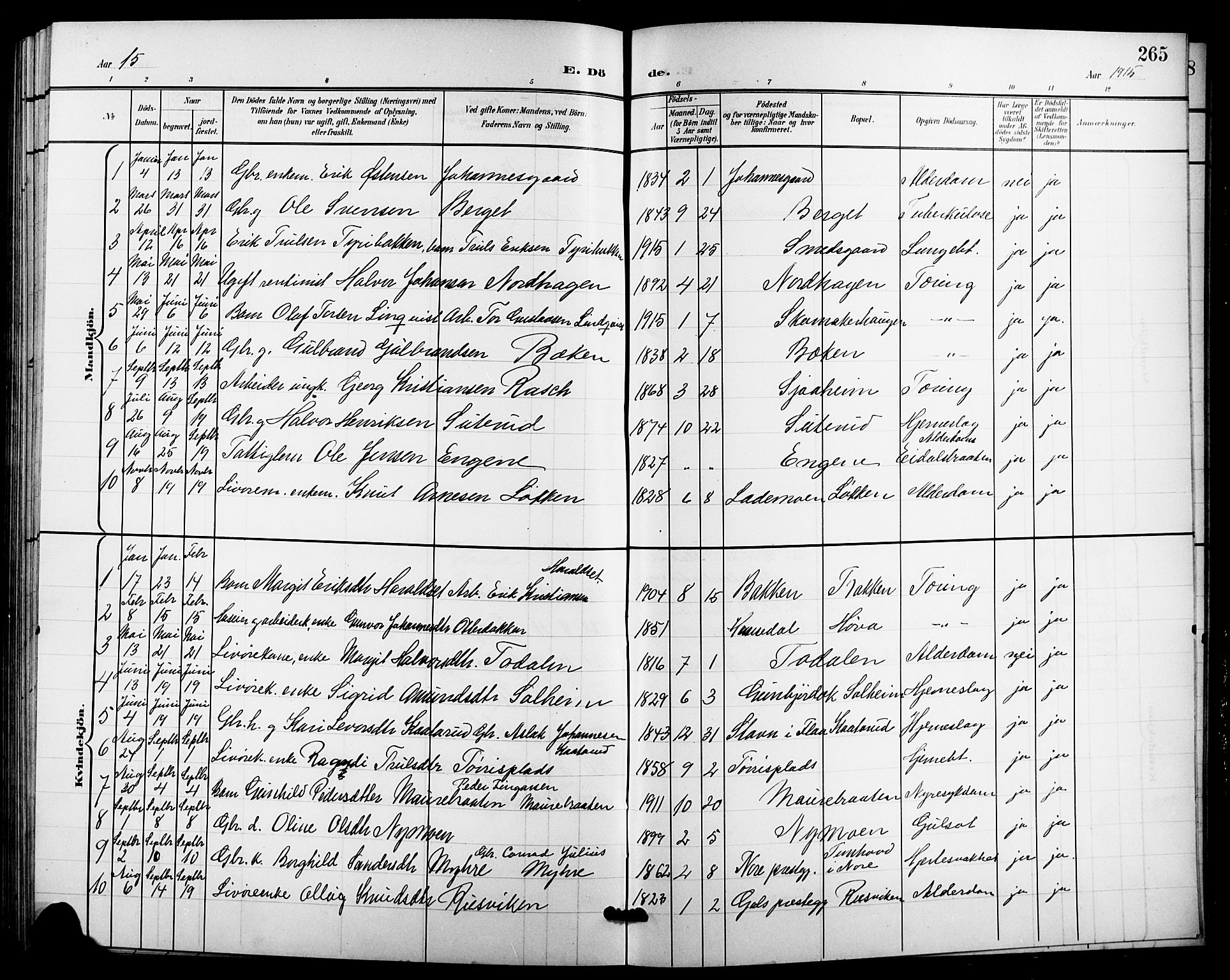 Nes kirkebøker, SAKO/A-236/G/Ga/L0004: Parish register (copy) no. I 4, 1900-1925, p. 265