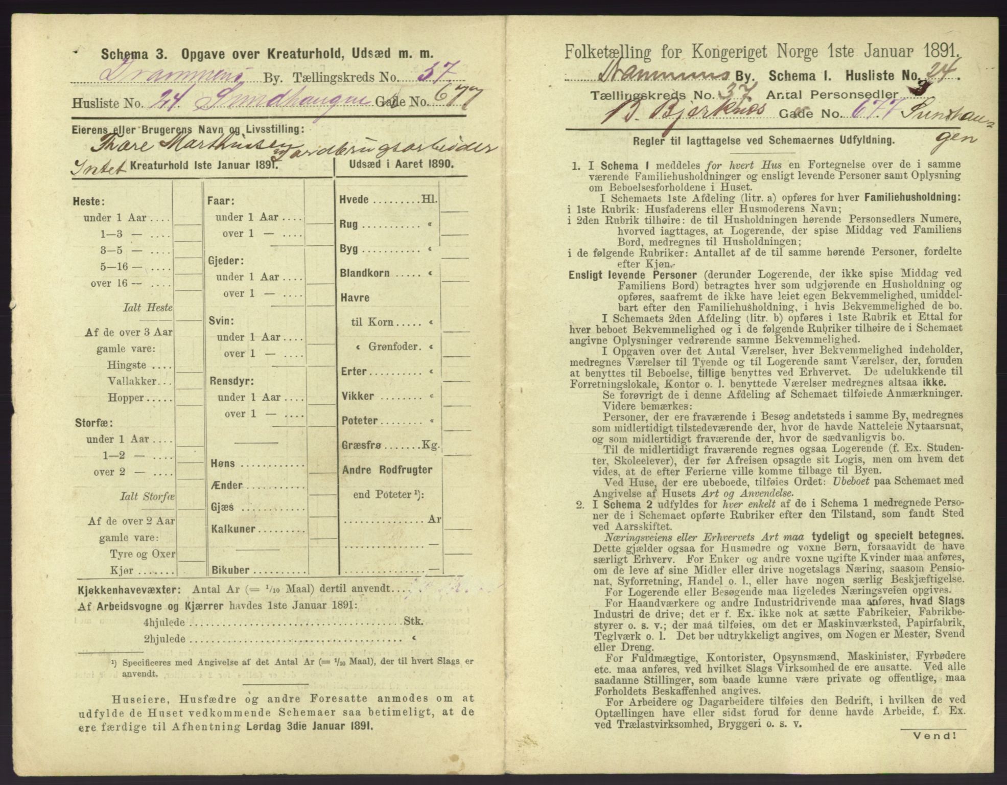 RA, 1891 census for 0602 Drammen, 1891, p. 3407