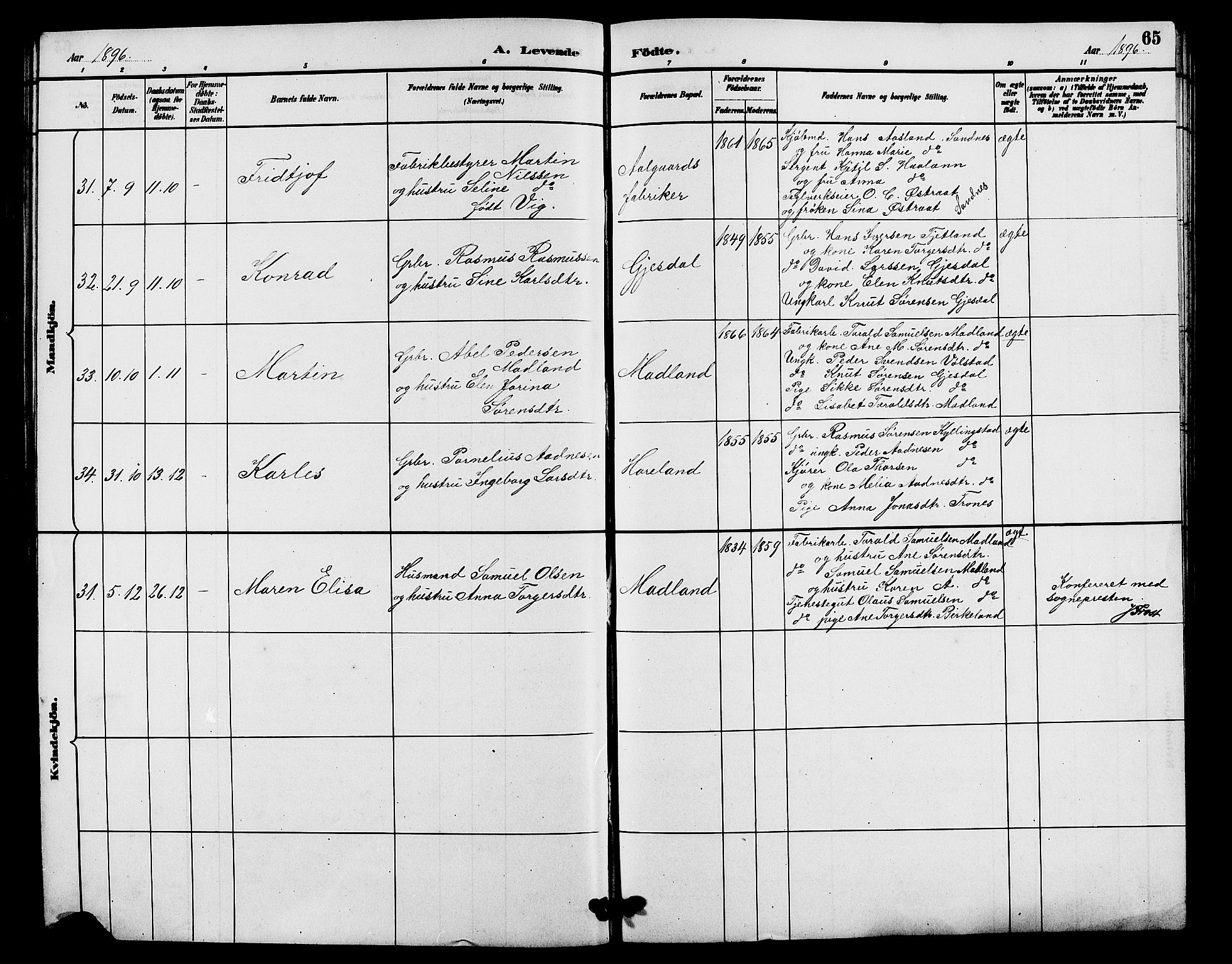 Lye sokneprestkontor, AV/SAST-A-101794/001/30BB/L0008: Parish register (copy) no. B 7, 1887-1901, p. 65