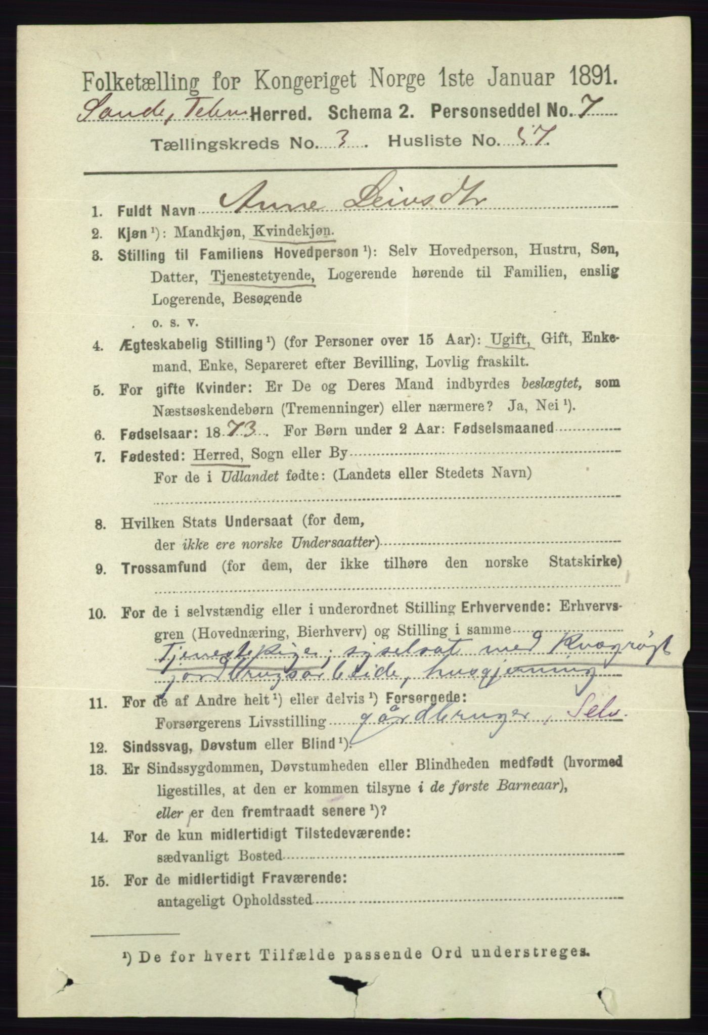 RA, 1891 census for 0822 Sauherad, 1891, p. 1043