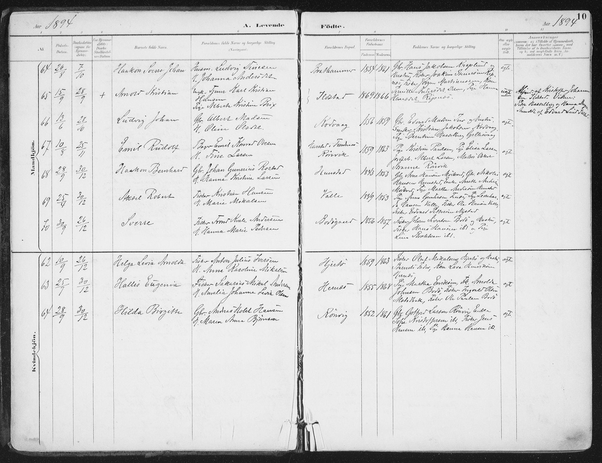 Ministerialprotokoller, klokkerbøker og fødselsregistre - Nordland, SAT/A-1459/802/L0055: Parish register (official) no. 802A02, 1894-1915, p. 10