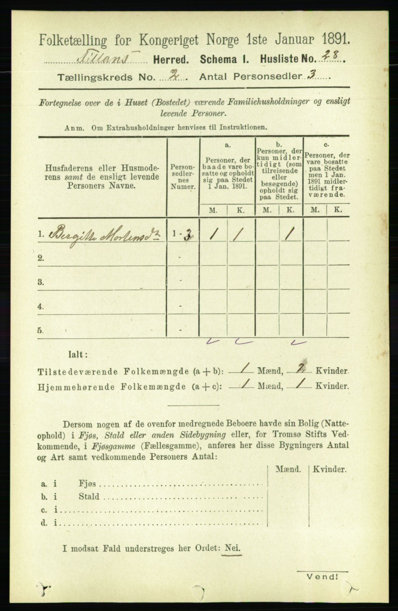 RA, 1891 census for 1616 Fillan, 1891, p. 217