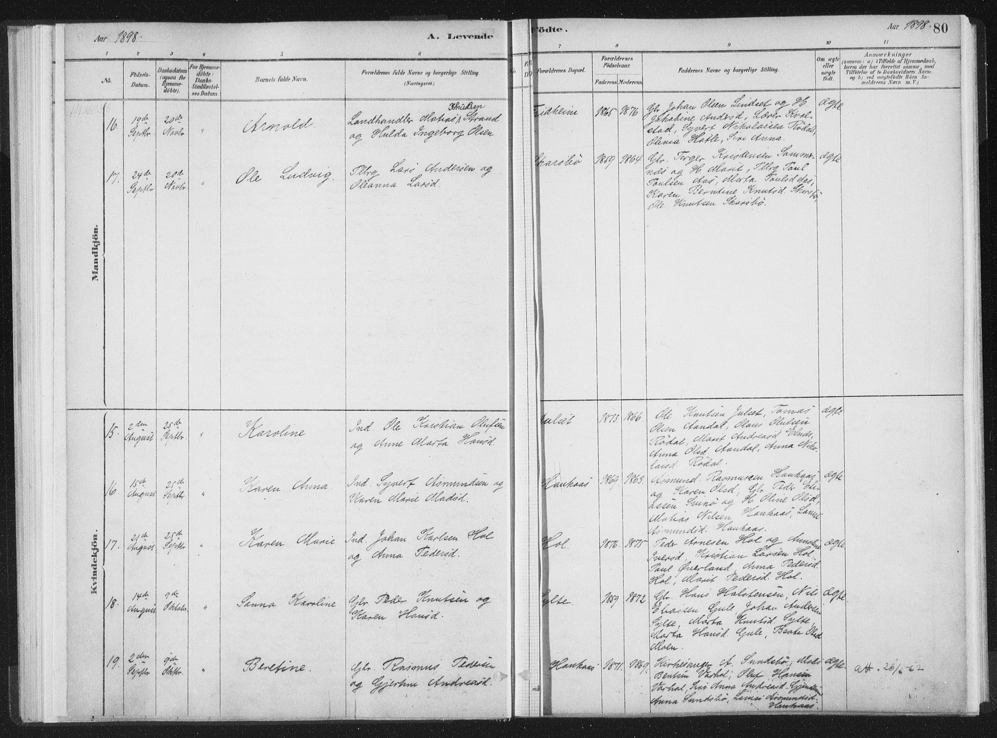 Ministerialprotokoller, klokkerbøker og fødselsregistre - Møre og Romsdal, SAT/A-1454/564/L0740: Parish register (official) no. 564A01, 1880-1899, p. 80