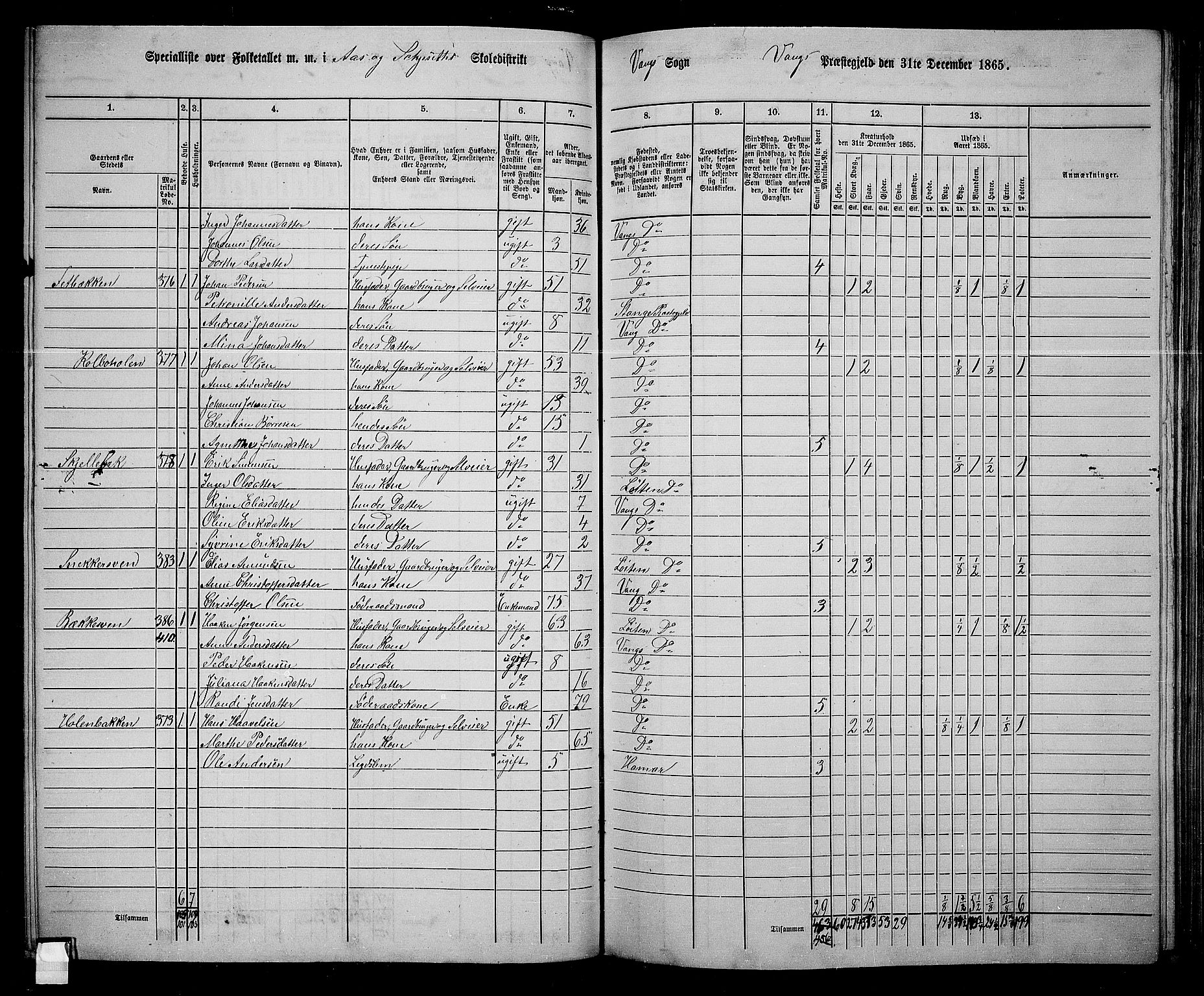 RA, 1865 census for Vang/Vang og Furnes, 1865, p. 255