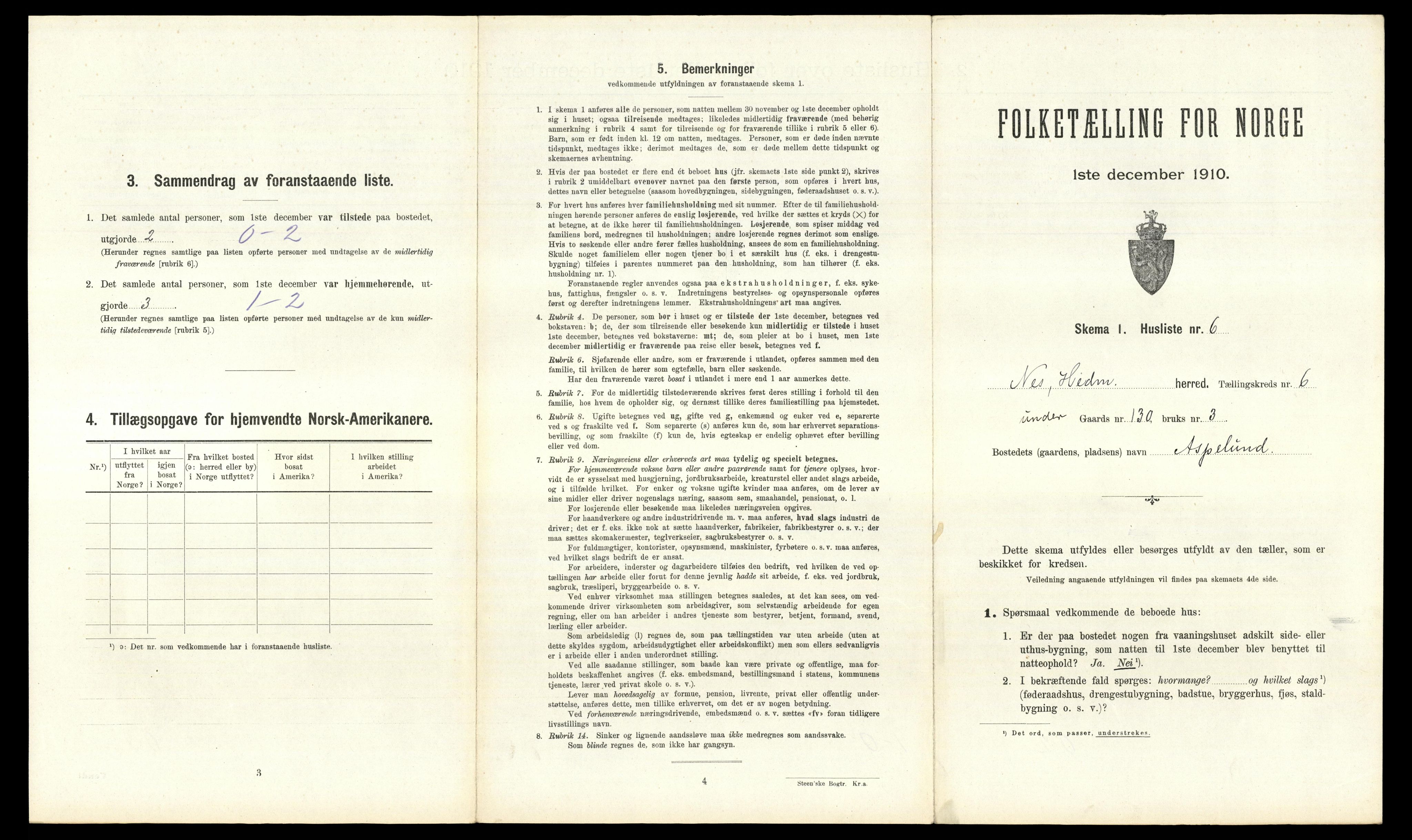 RA, 1910 census for Nes, 1910, p. 1073