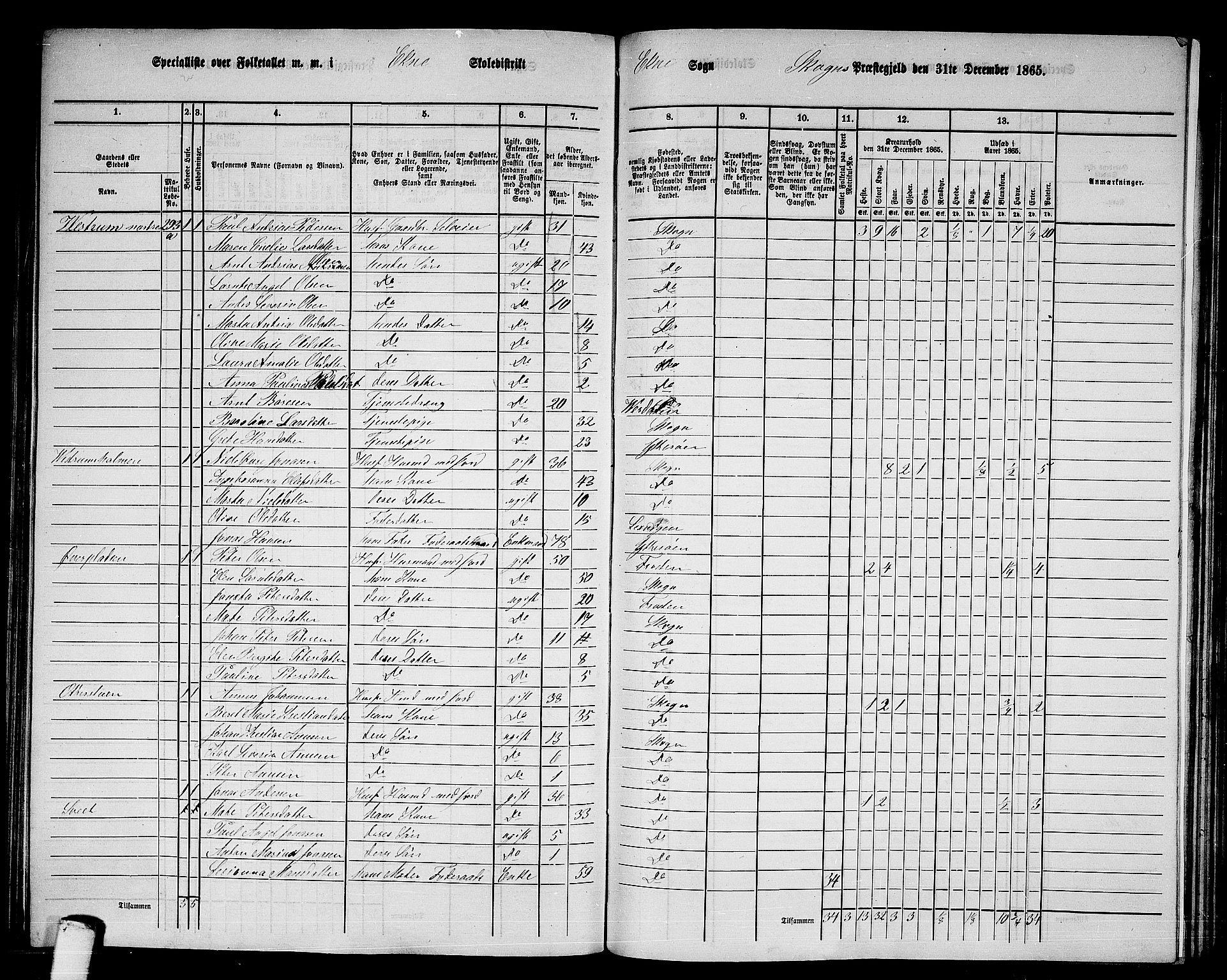 RA, 1865 census for Skogn, 1865, p. 158