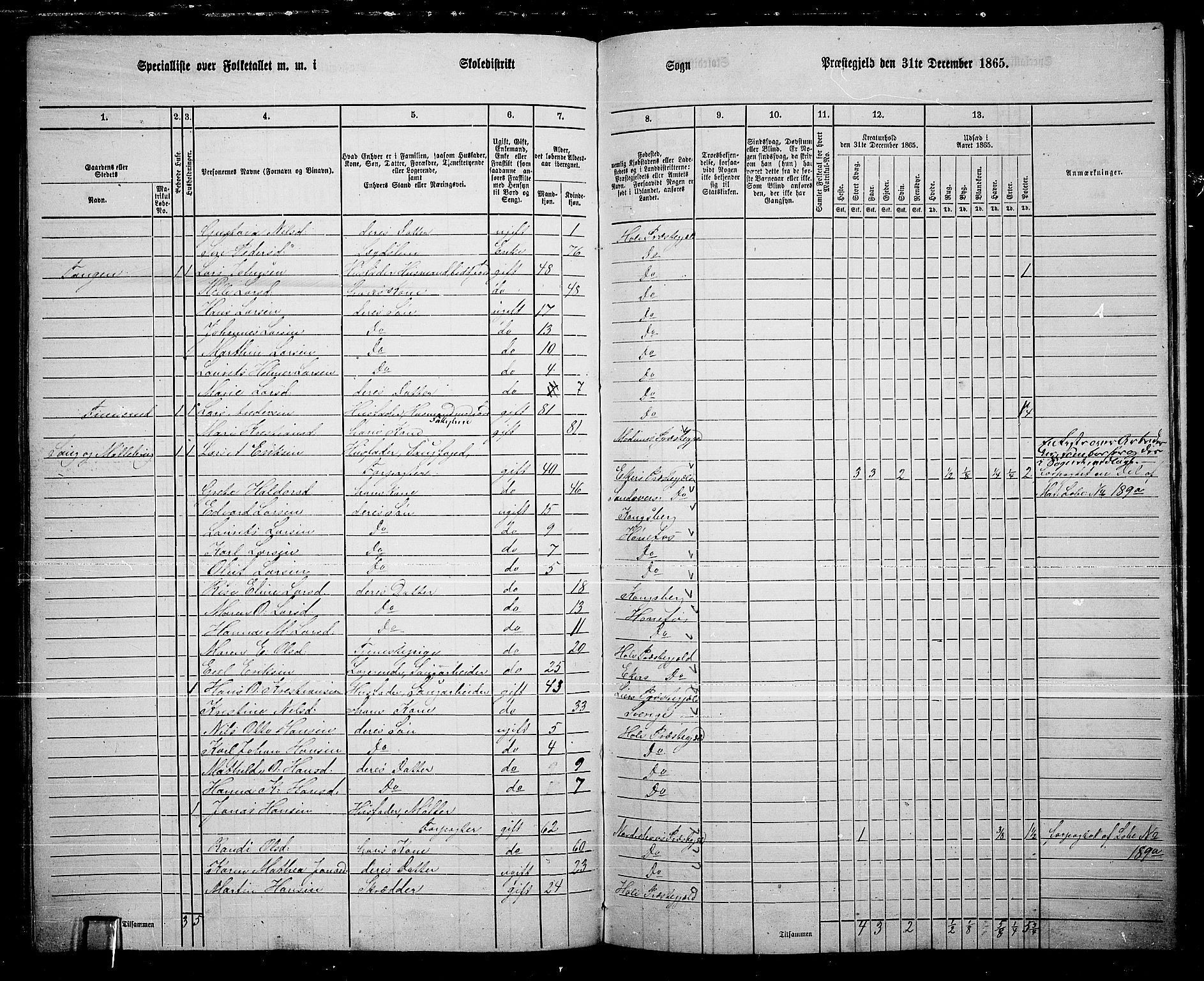 RA, 1865 census for Hole, 1865, p. 123