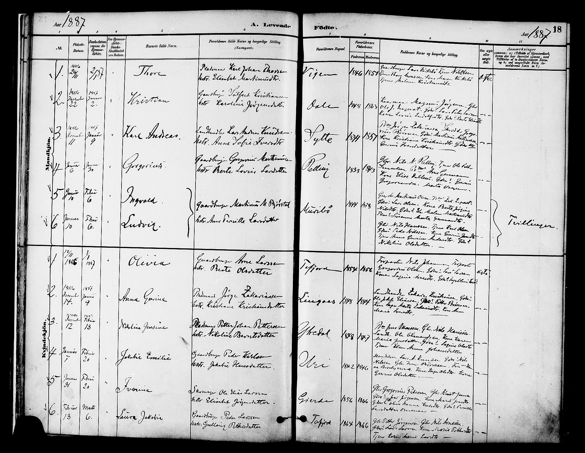 Ministerialprotokoller, klokkerbøker og fødselsregistre - Møre og Romsdal, AV/SAT-A-1454/519/L0255: Parish register (official) no. 519A14, 1884-1908, p. 18