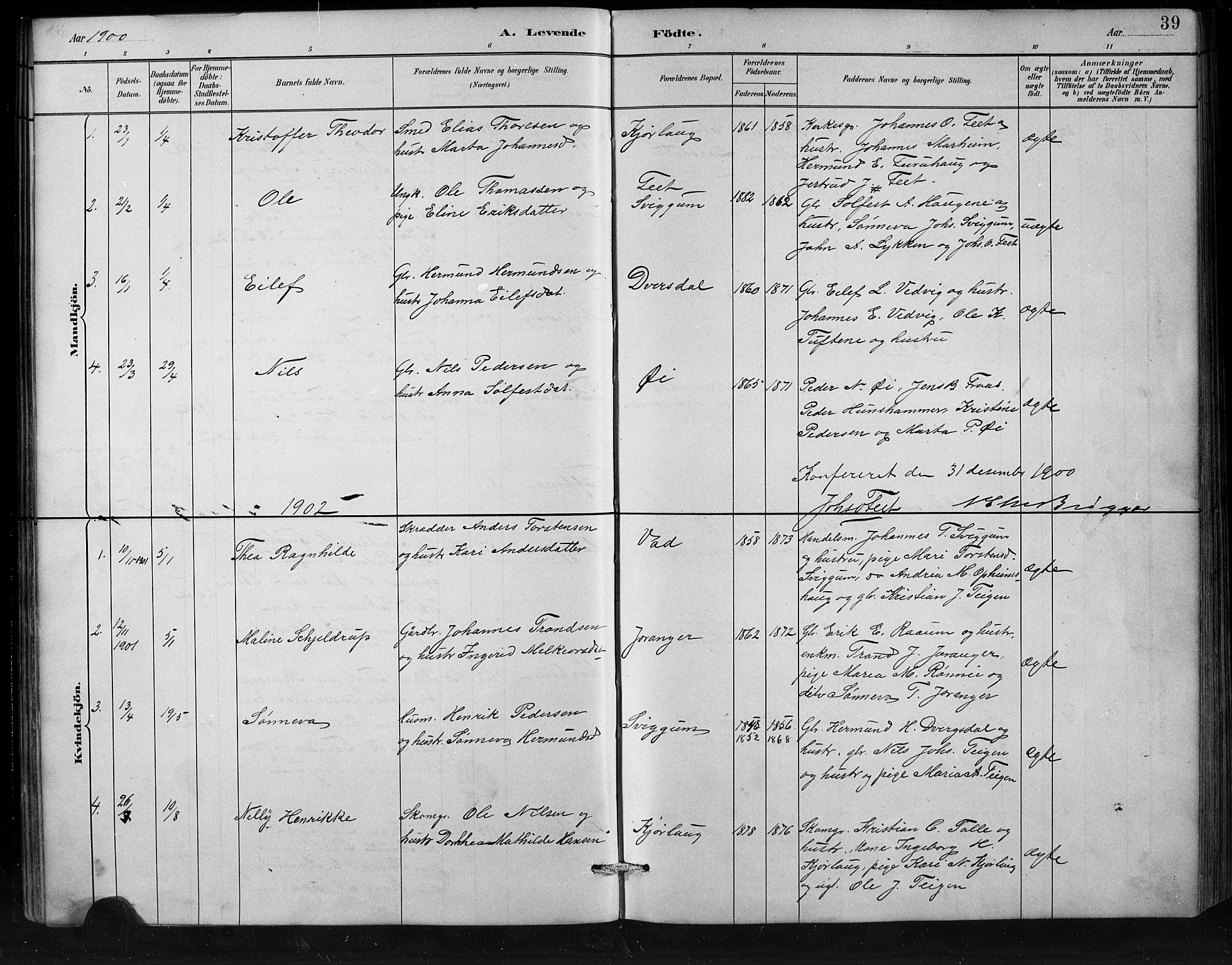 Jostedal sokneprestembete, SAB/A-80601/H/Hab/Habd/L0001: Parish register (copy) no. D 1, 1882-1910, p. 39