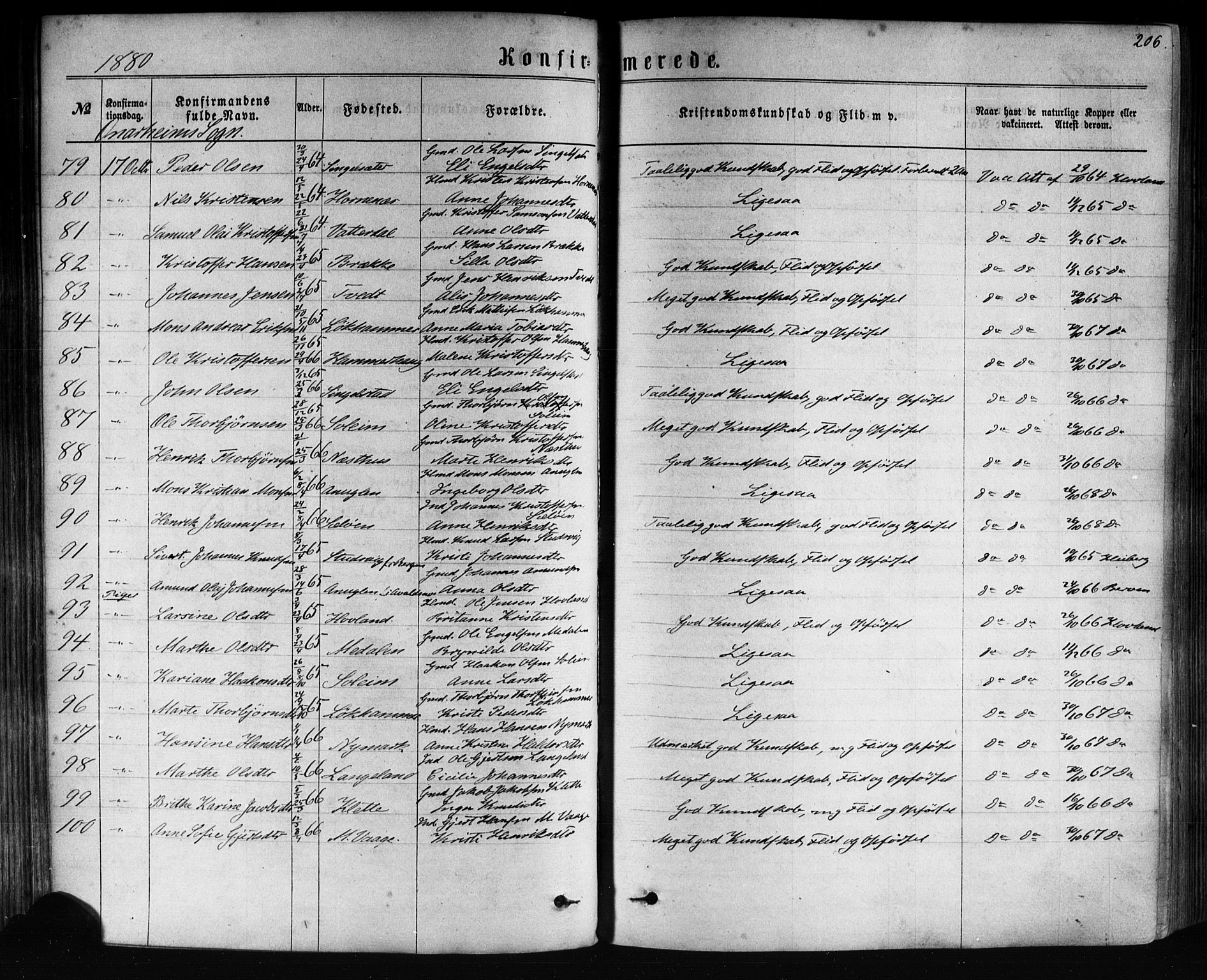 Tysnes sokneprestembete, AV/SAB-A-78601/H/Haa: Parish register (official) no. A 12, 1872-1886, p. 206