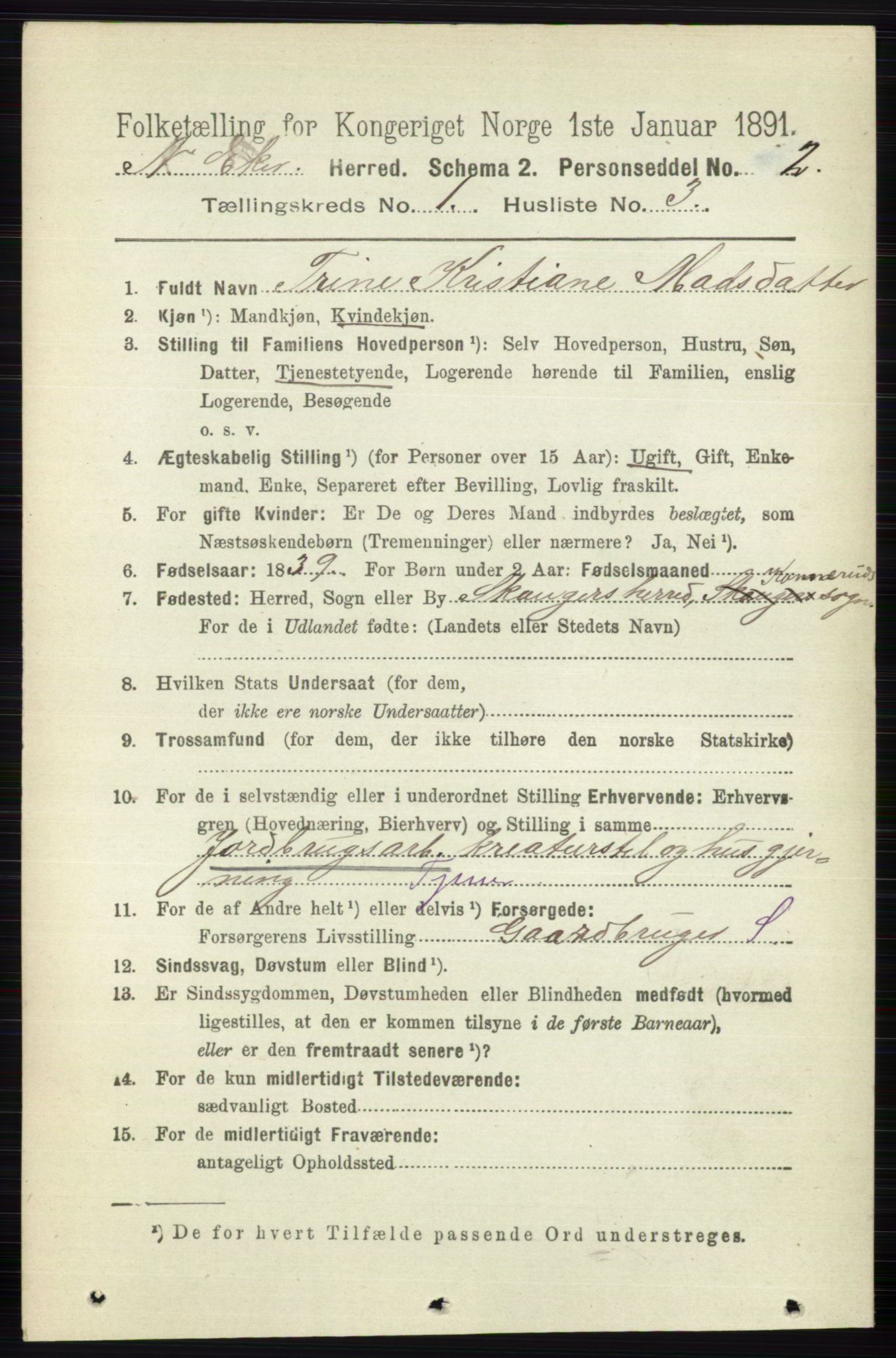 RA, 1891 census for 0625 Nedre Eiker, 1891, p. 91