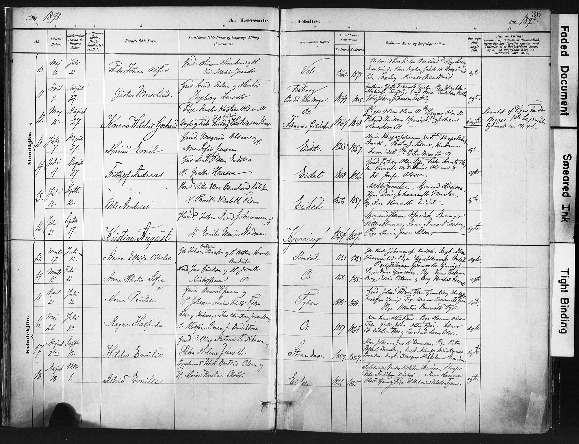 Ministerialprotokoller, klokkerbøker og fødselsregistre - Nordland, AV/SAT-A-1459/803/L0071: Parish register (official) no. 803A01, 1881-1897, p. 36