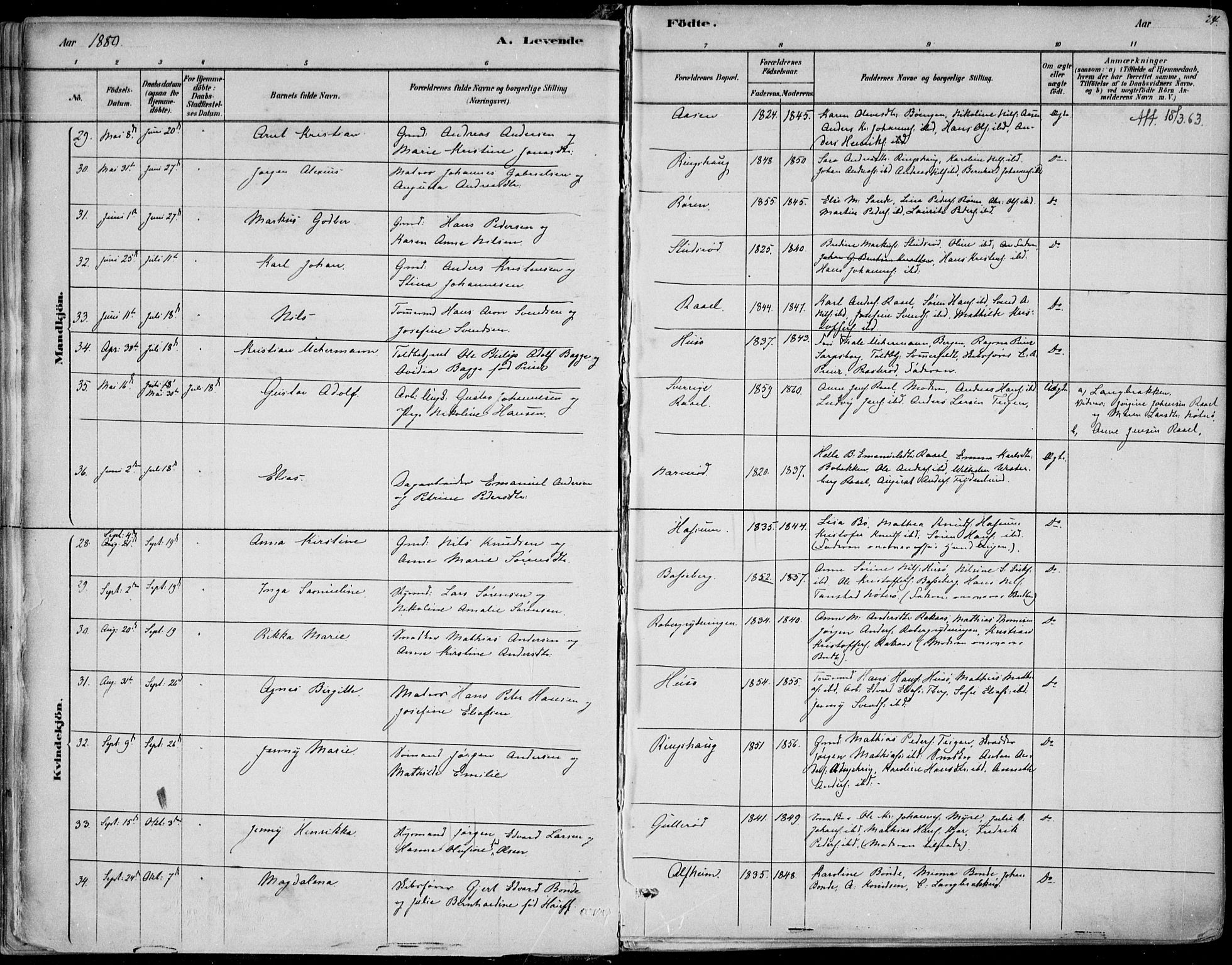Sem kirkebøker, SAKO/A-5/F/Fb/L0004: Parish register (official) no. II 4, 1878-1891, p. 24