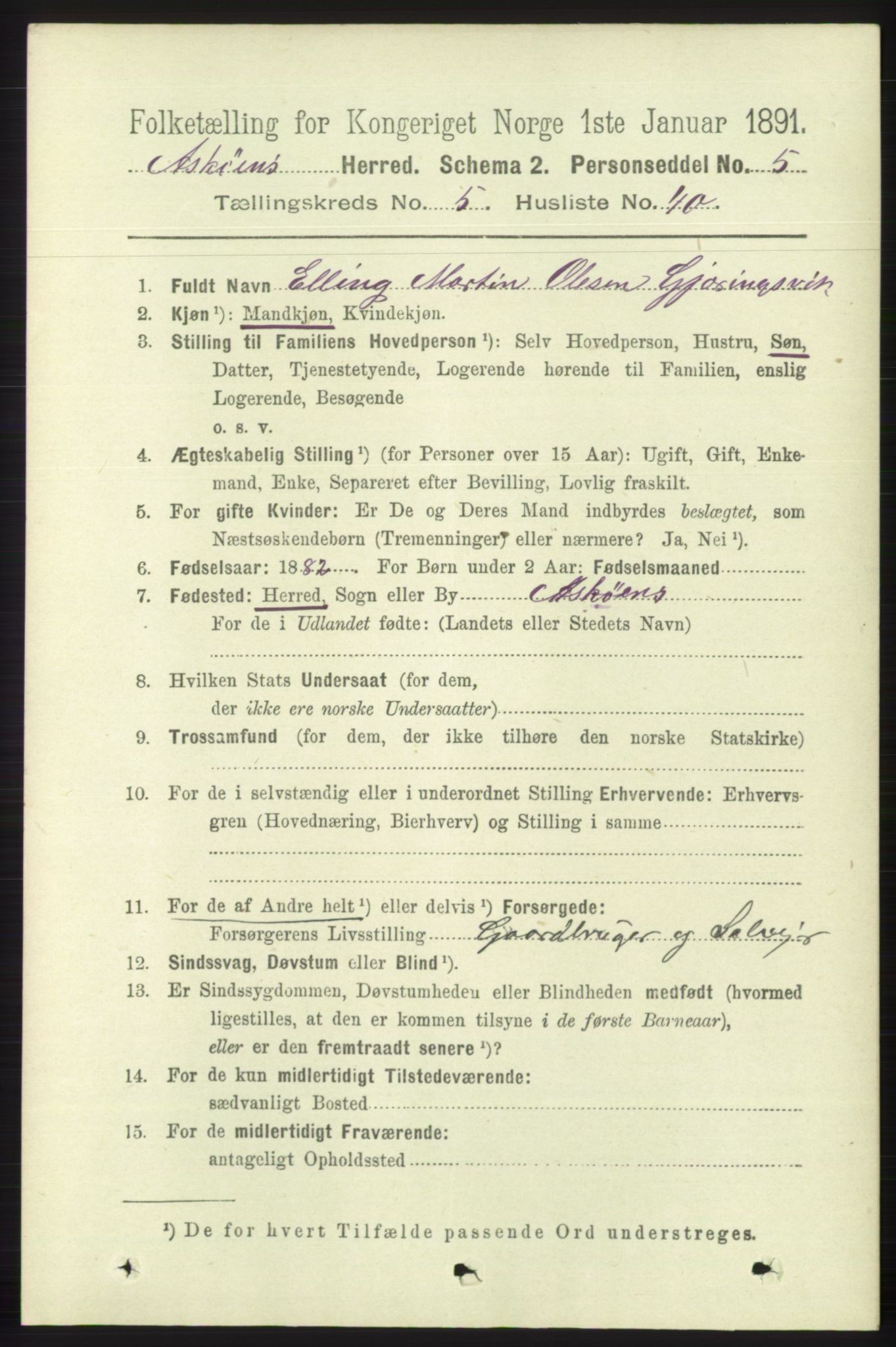 RA, 1891 census for 1247 Askøy, 1891, p. 3741