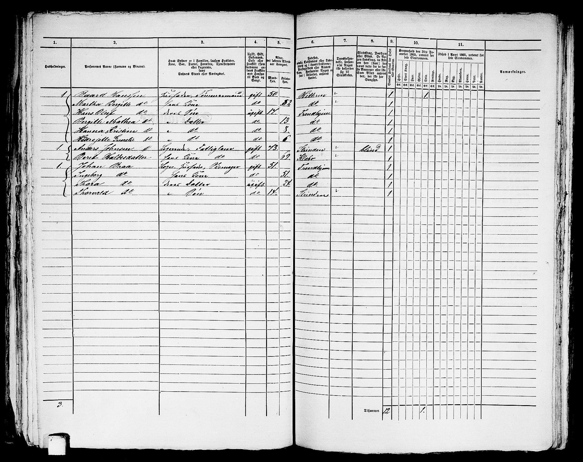 RA, 1865 census for Trondheim, 1865, p. 2712