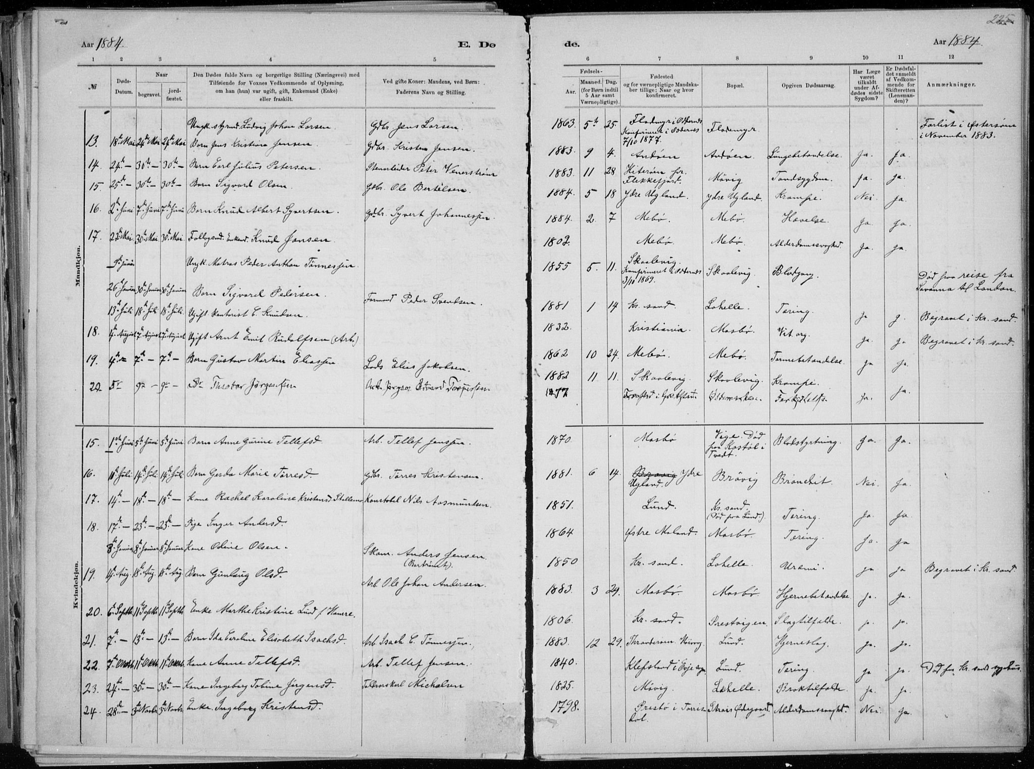 Oddernes sokneprestkontor, AV/SAK-1111-0033/F/Fa/Faa/L0009: Parish register (official) no. A 9, 1884-1896, p. 225