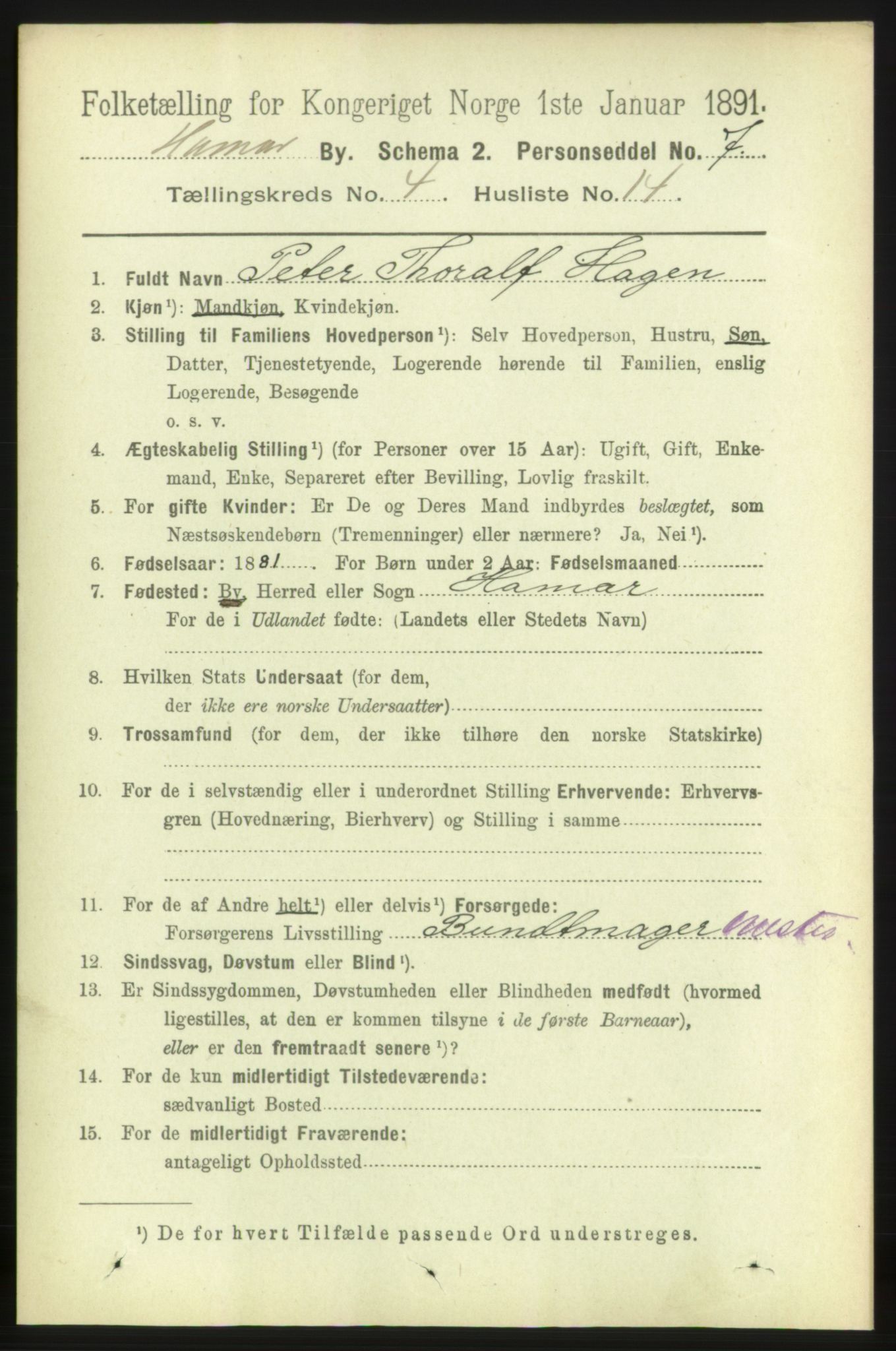 RA, 1891 census for 0401 Hamar, 1891, p. 3032