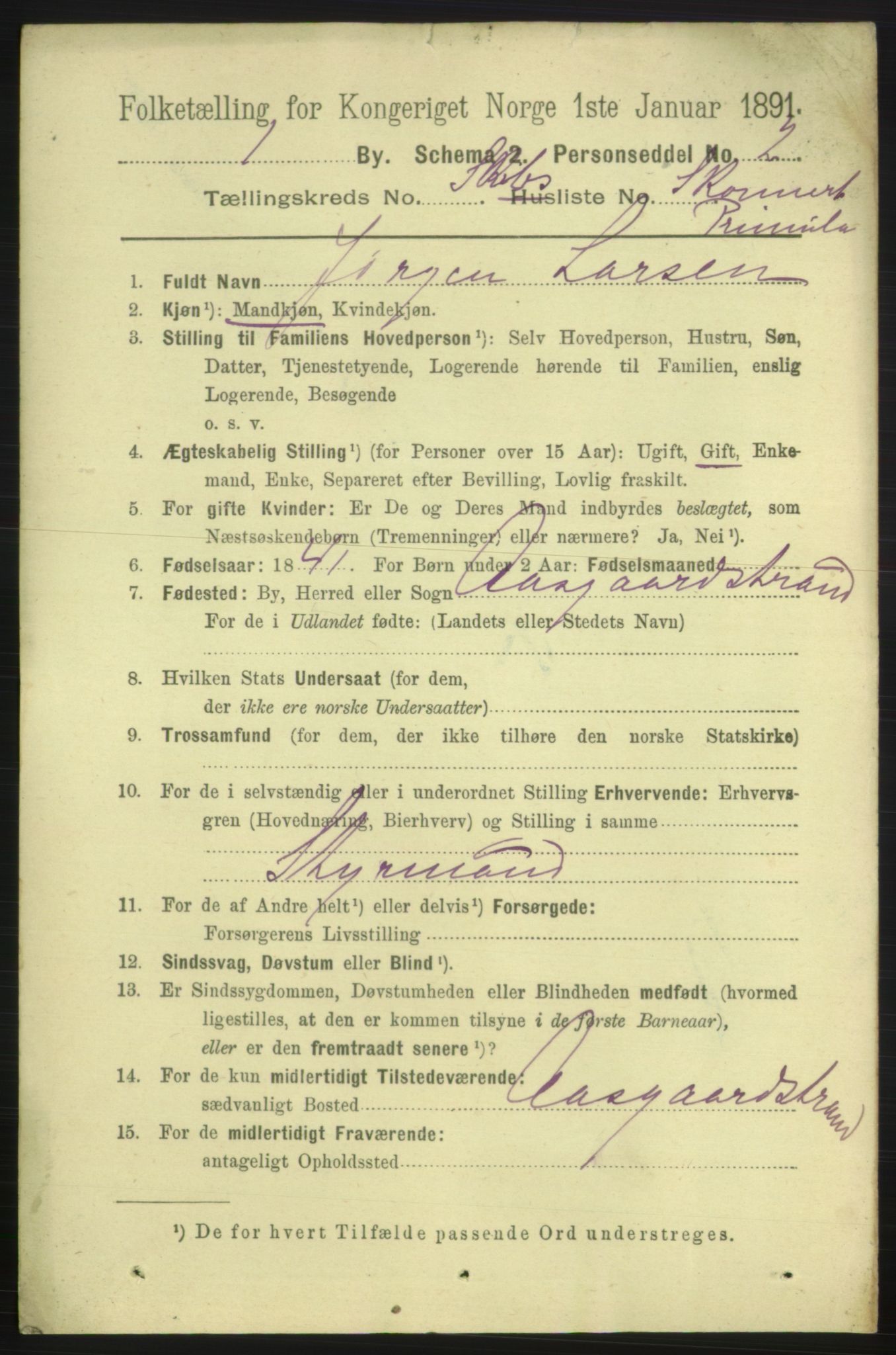 RA, 1891 census for 0101 Fredrikshald, 1891, p. 13809