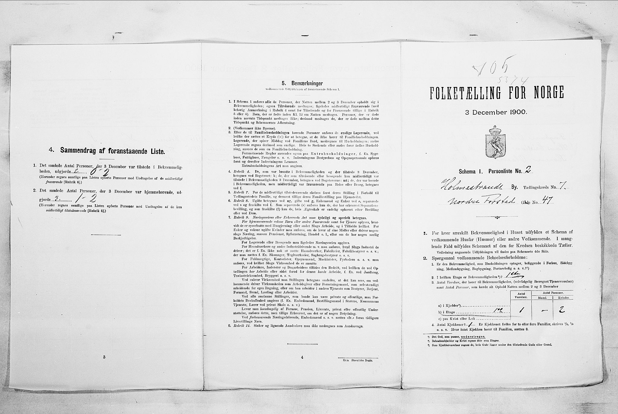 RA, 1900 census for Holmestrand, 1900, p. 196