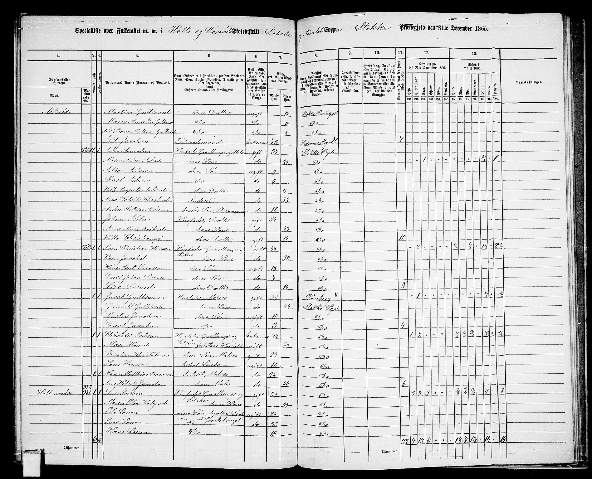 RA, 1865 census for Stokke, 1865, p. 170