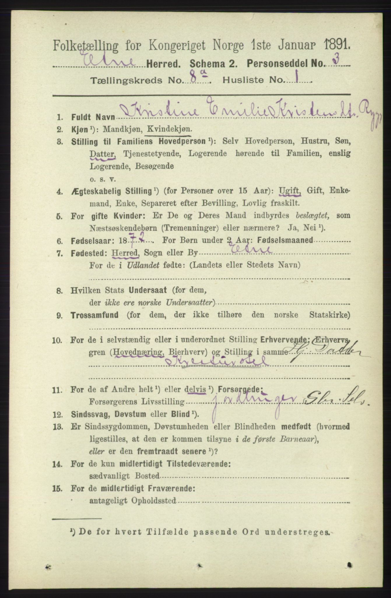 RA, 1891 census for 1211 Etne, 1891, p. 1541