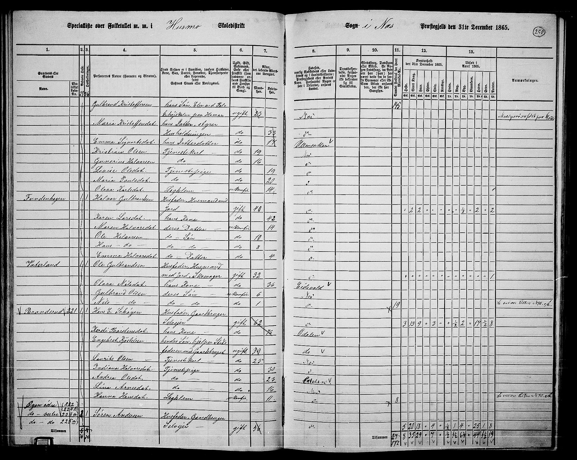 RA, 1865 census for Nes, 1865, p. 233