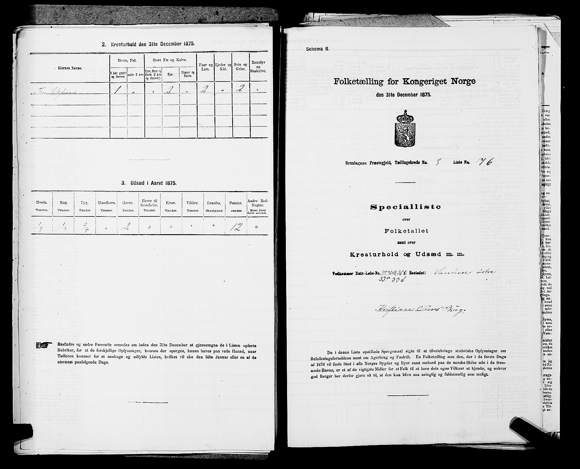 SAKO, 1875 census for 0726P Brunlanes, 1875, p. 1050