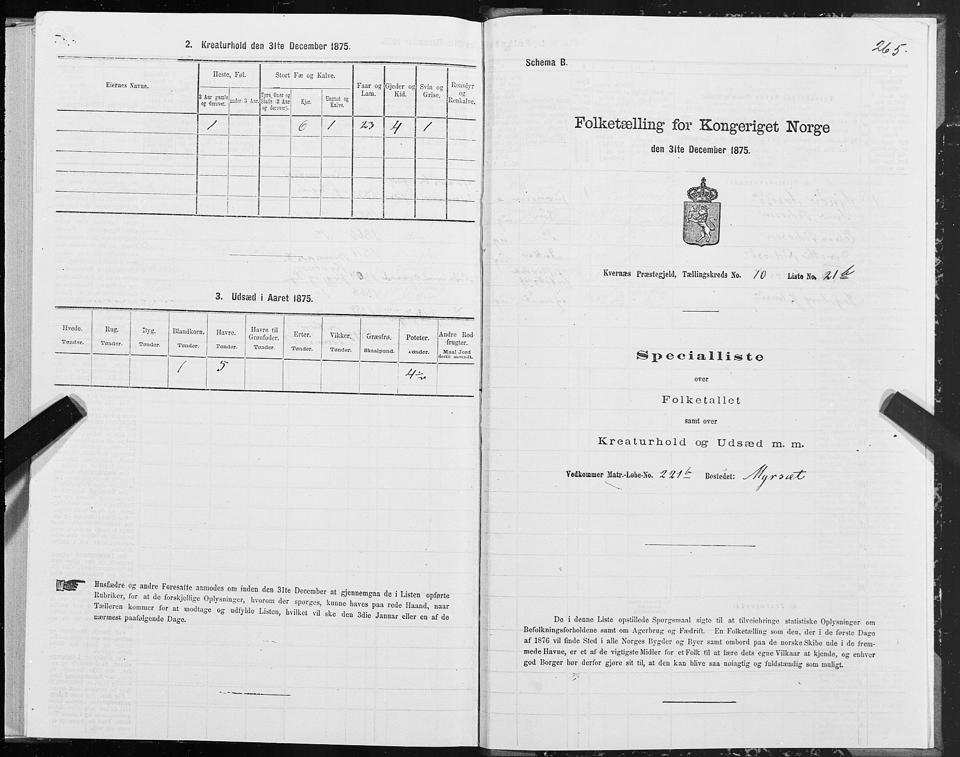 SAT, 1875 census for 1553P Kvernes, 1875, p. 5265