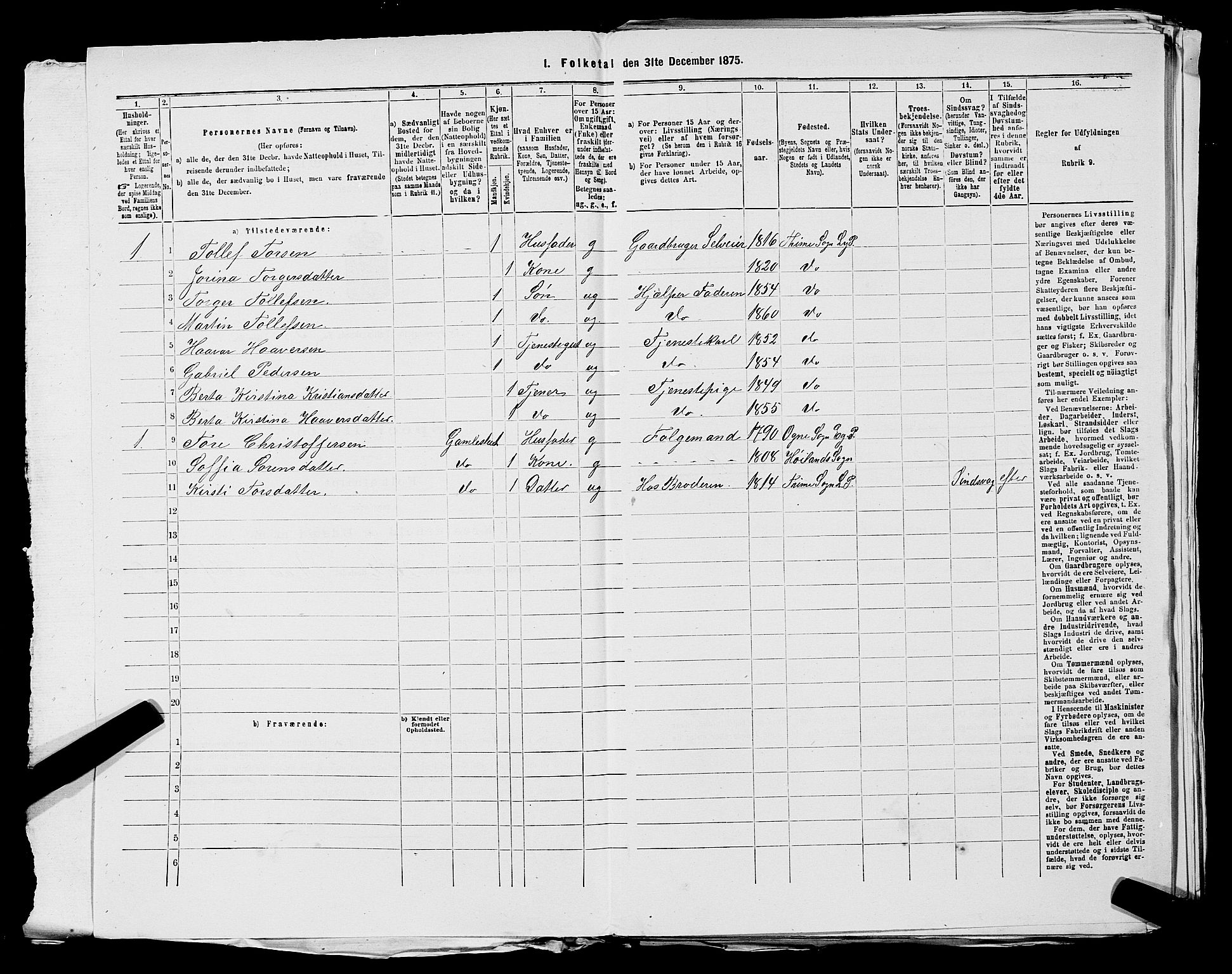 SAST, 1875 census for 1121P Lye, 1875, p. 611