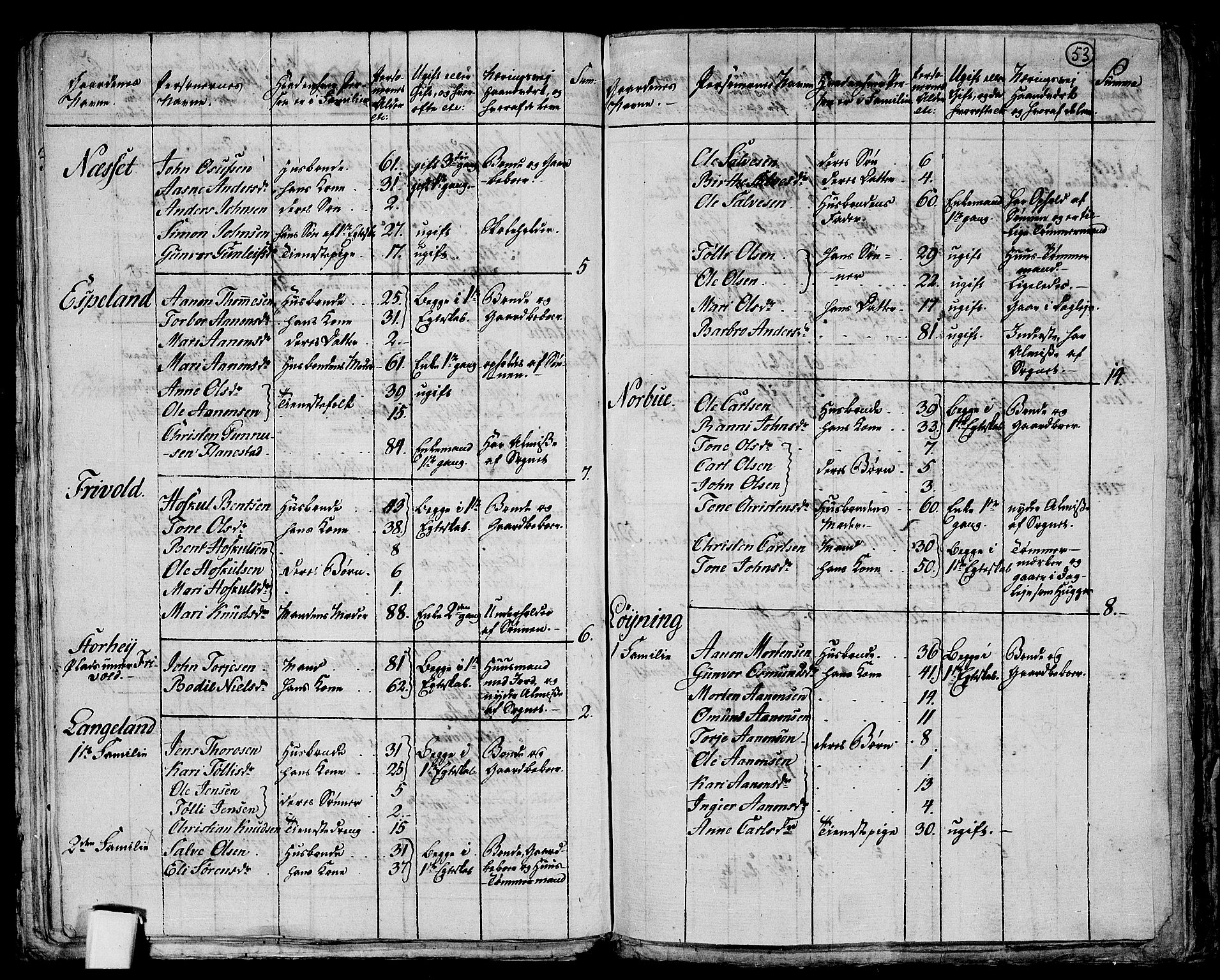 RA, 1801 census for 1012P Oddernes, 1801, p. 52b-53a