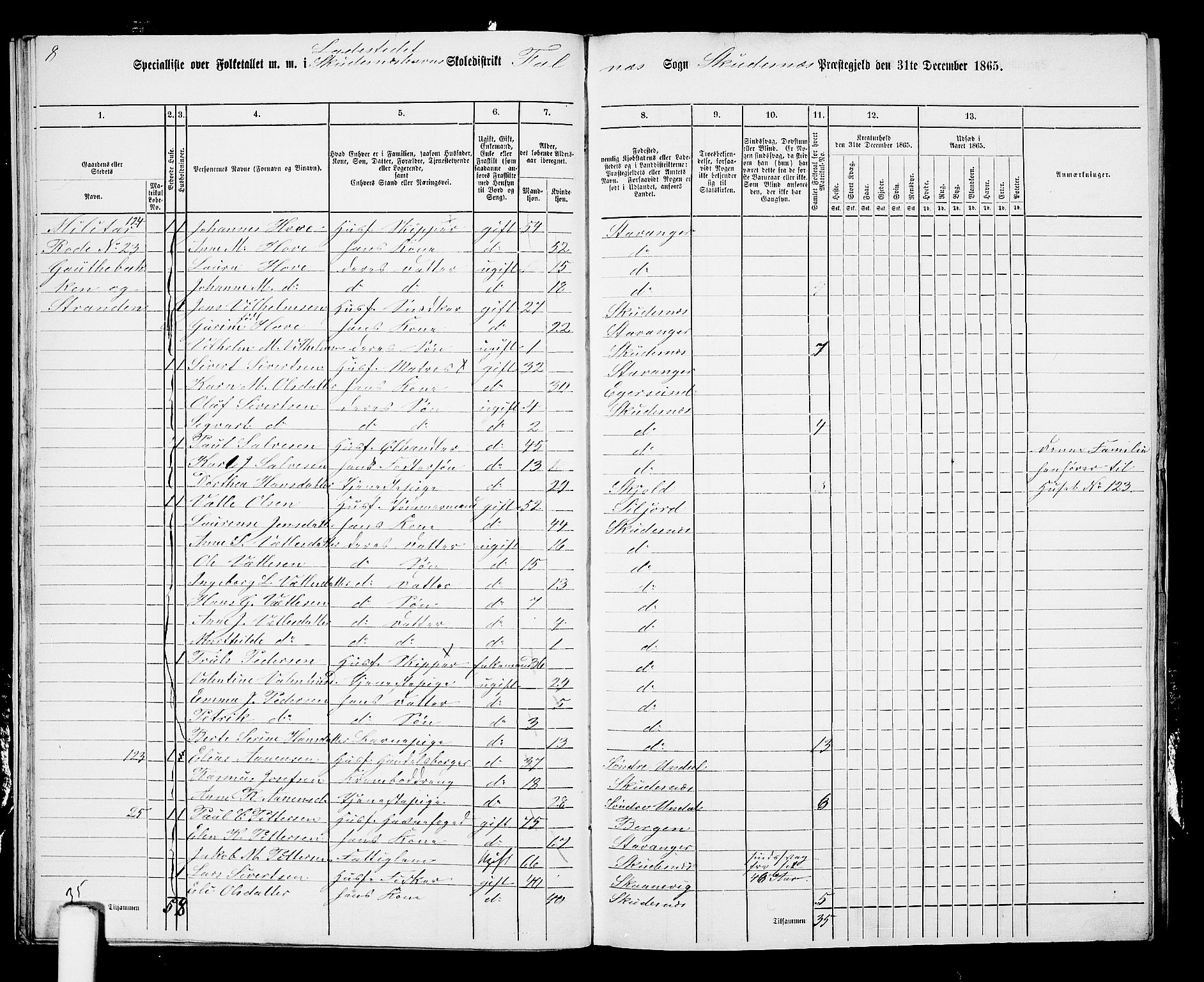 RA, 1865 census for Skudenes, 1865, p. 219