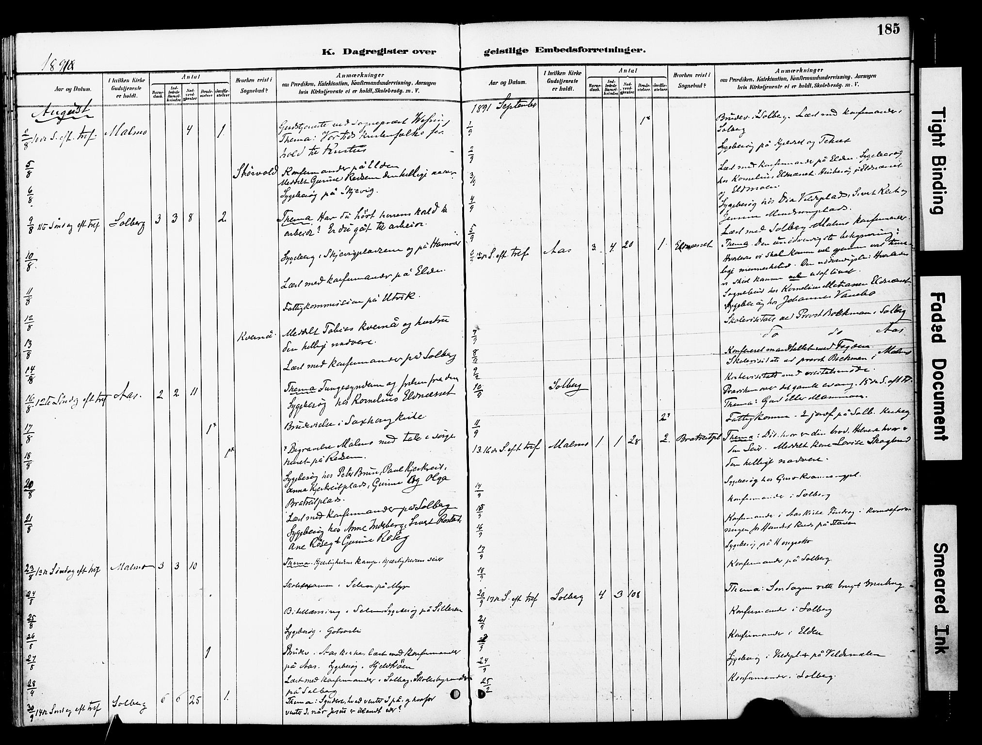 Ministerialprotokoller, klokkerbøker og fødselsregistre - Nord-Trøndelag, AV/SAT-A-1458/741/L0396: Parish register (official) no. 741A10, 1889-1901, p. 185