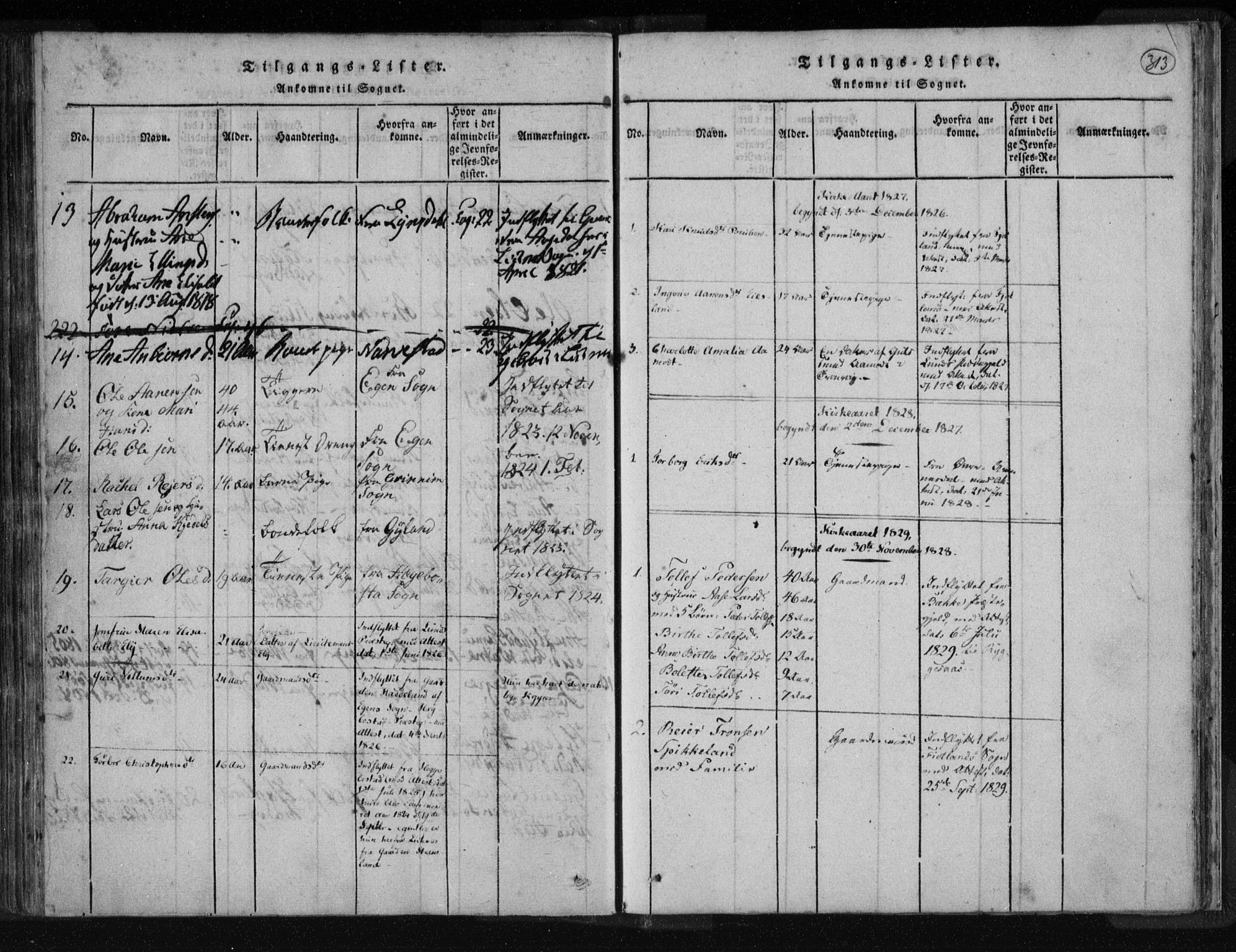 Kvinesdal sokneprestkontor, AV/SAK-1111-0026/F/Fa/Fab/L0003: Parish register (official) no. A 3, 1815-1829, p. 313