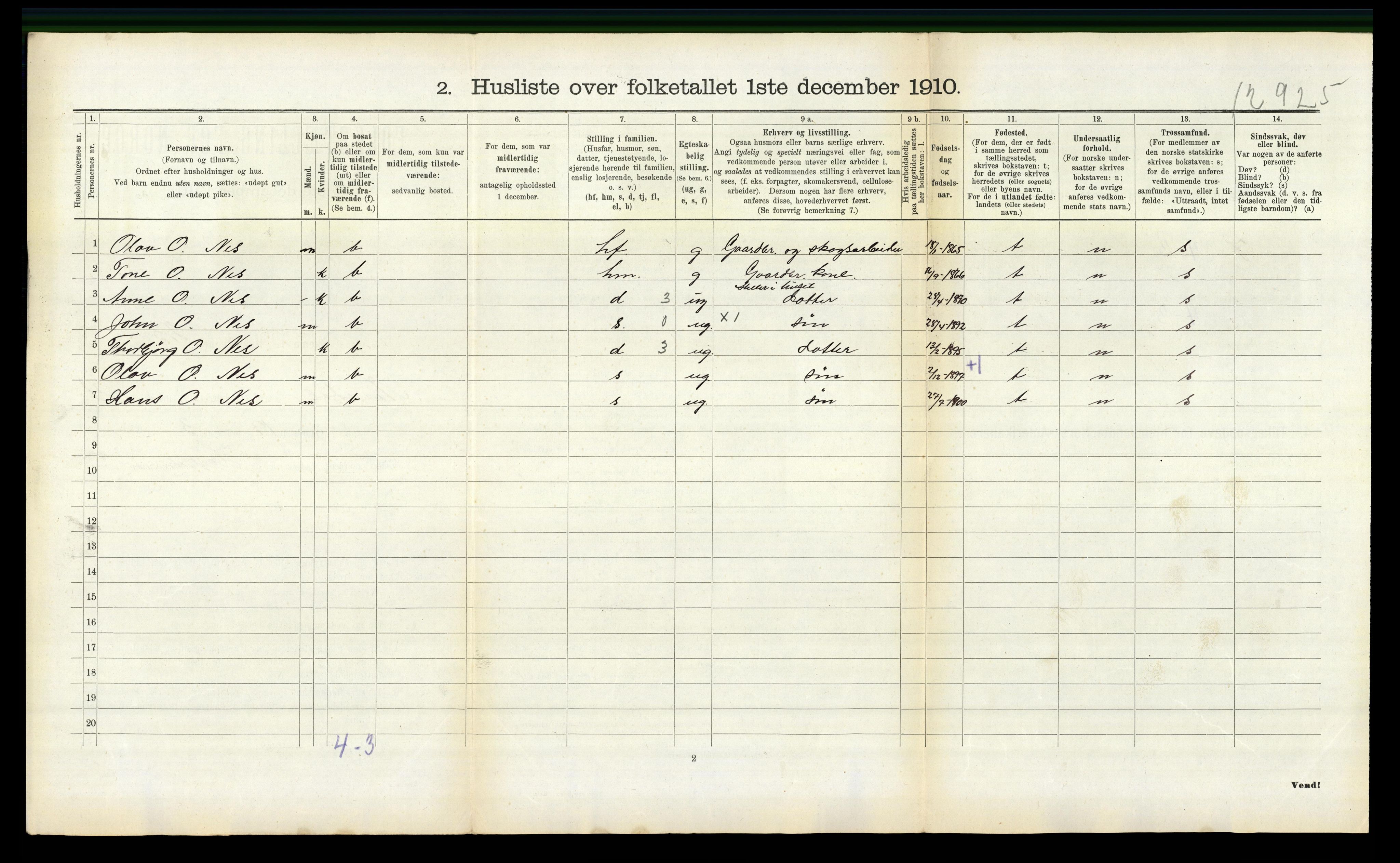 RA, 1910 census for Nissedal, 1910, p. 339