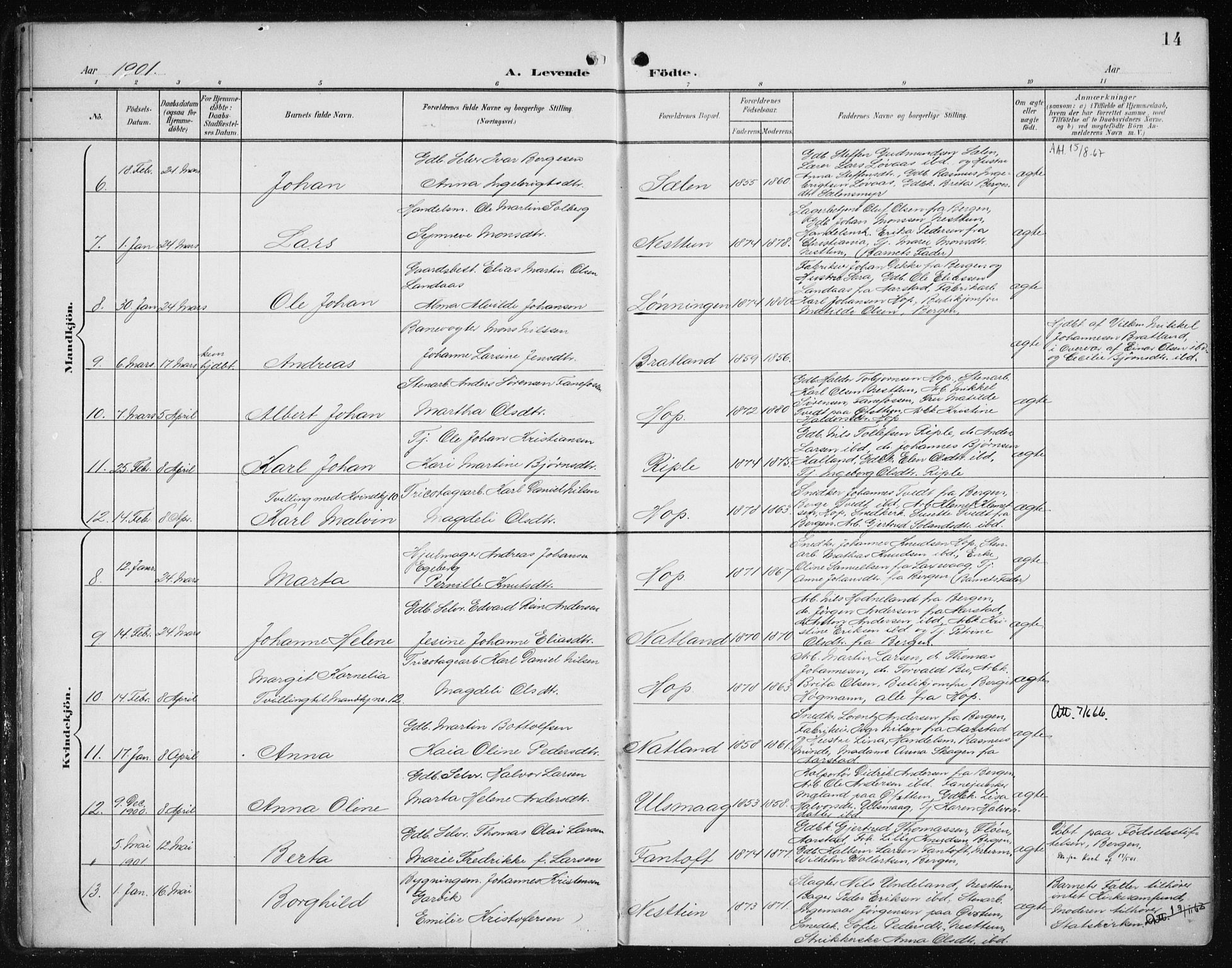 Fana Sokneprestembete, SAB/A-75101/H/Haa/Haai/L0003: Parish register (official) no. I 3, 1900-1912, p. 14
