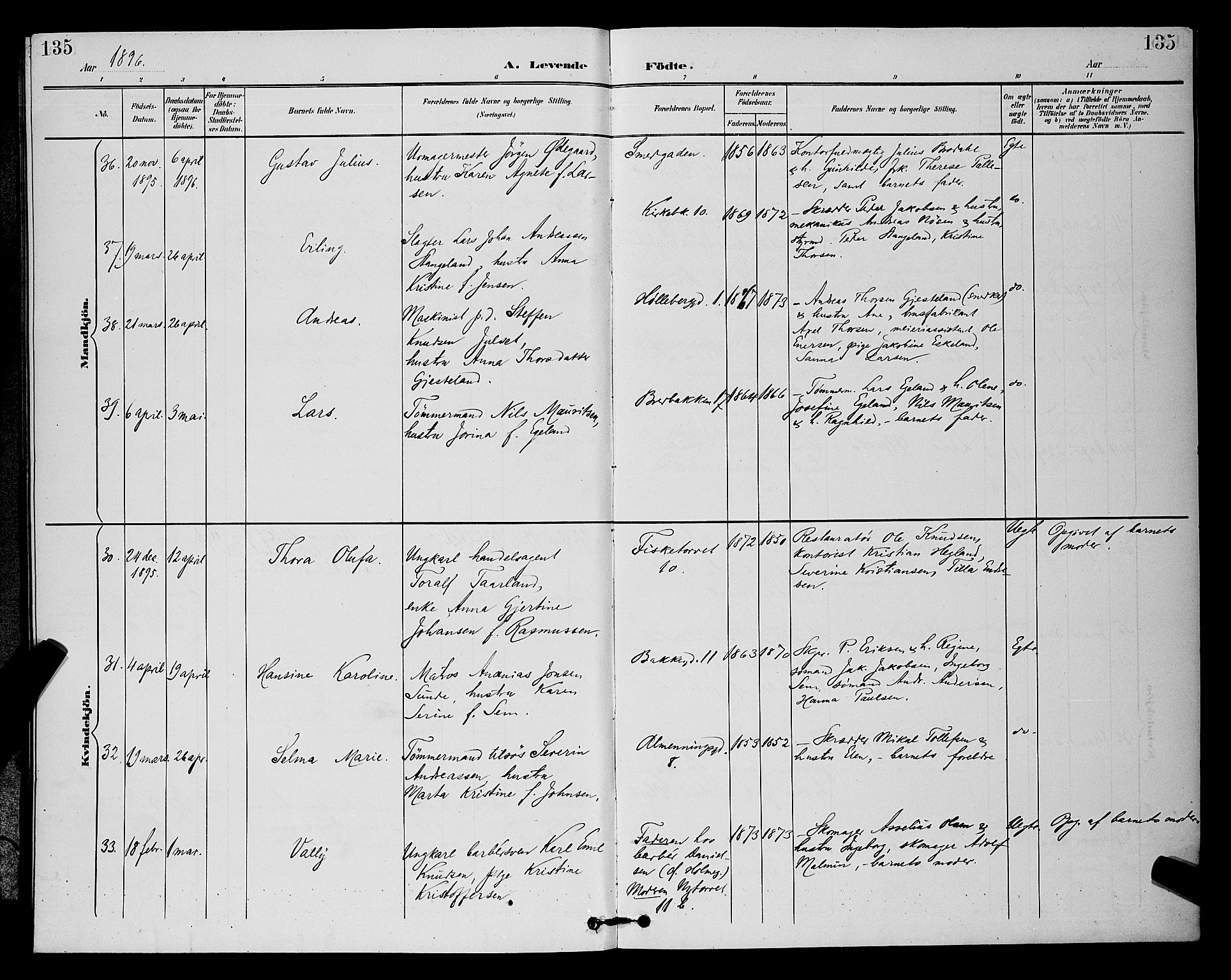 St. Petri sokneprestkontor, SAST/A-101813/001/30/30BB/L0006: Parish register (copy) no. B 6, 1890-1897, p. 135