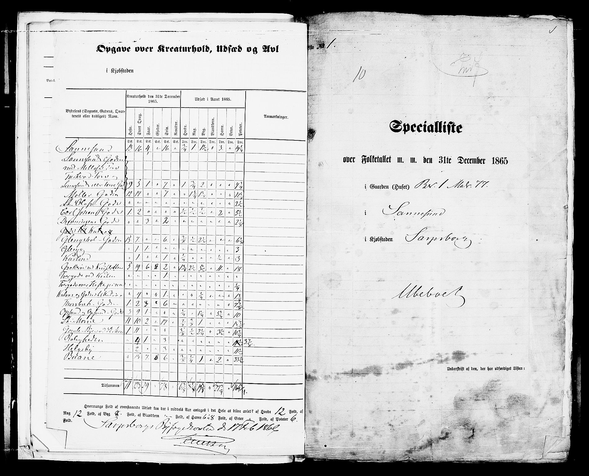 RA, 1865 census for Sarpsborg, 1865, p. 10