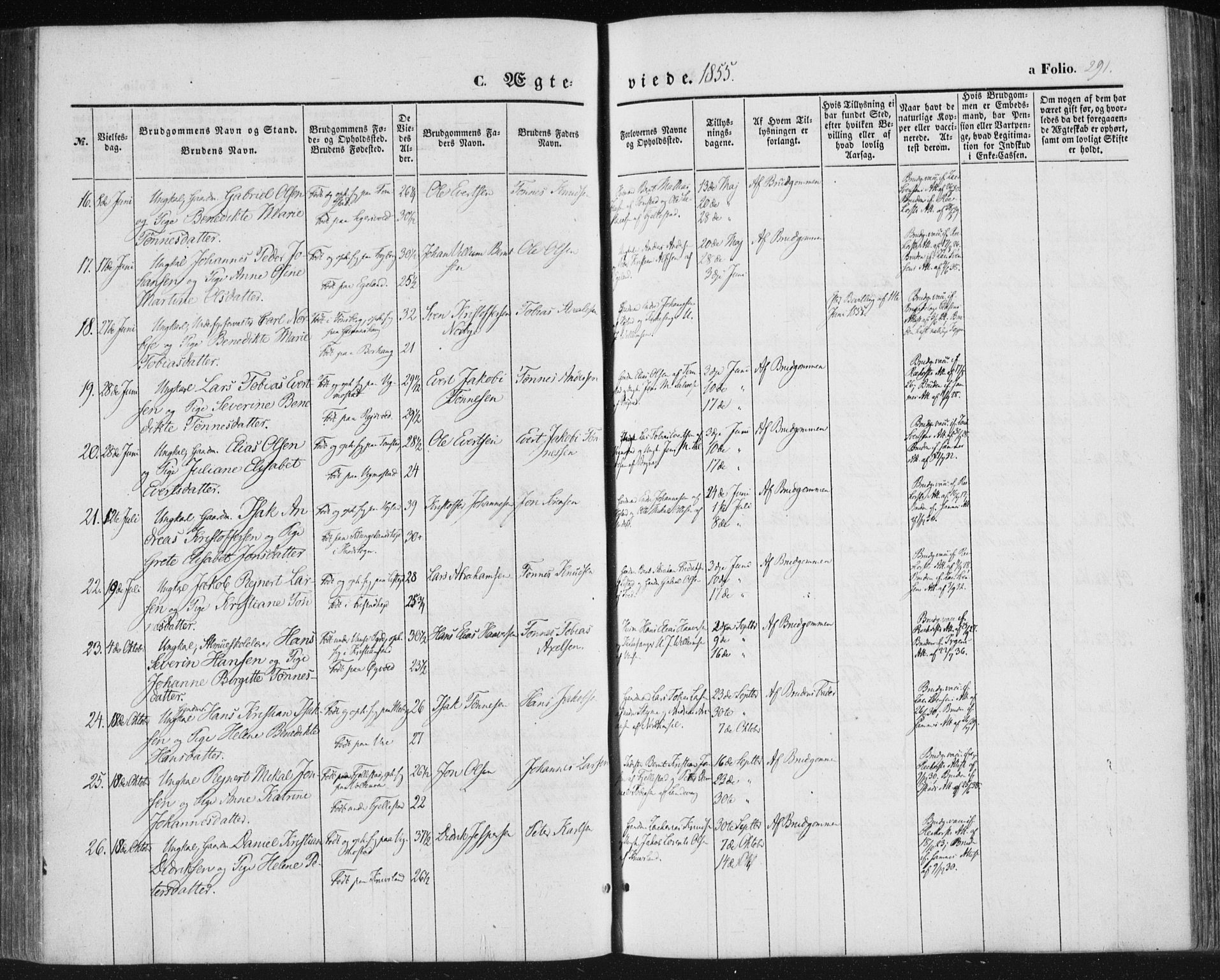 Lista sokneprestkontor, SAK/1111-0027/F/Fa/L0010: Parish register (official) no. A 10, 1846-1861, p. 291