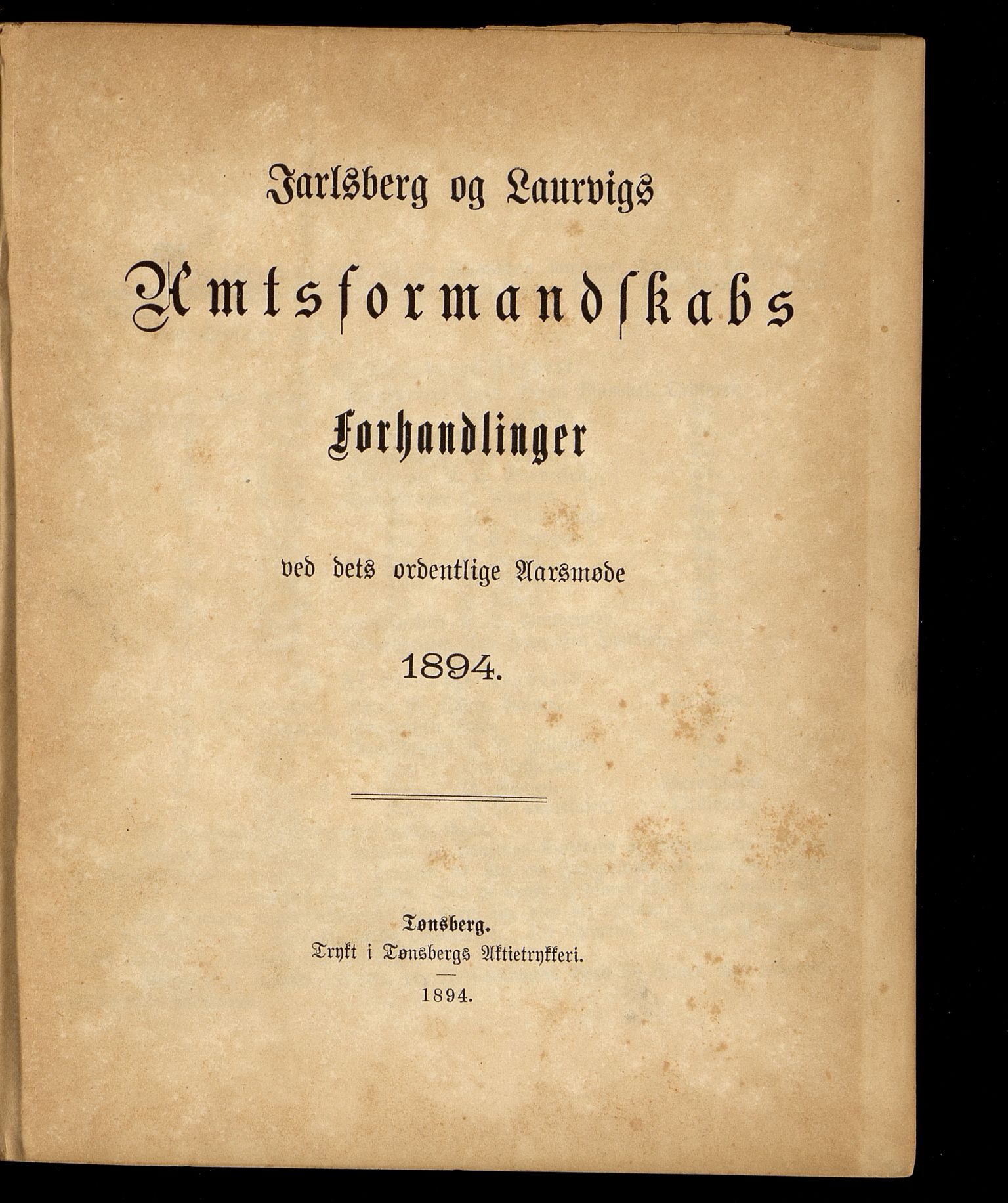 Vestfold fylkeskommune. Fylkestinget, VEMU/A-1315/A/Ab/Abb/L0041: Fylkestingsforhandlinger, 1894