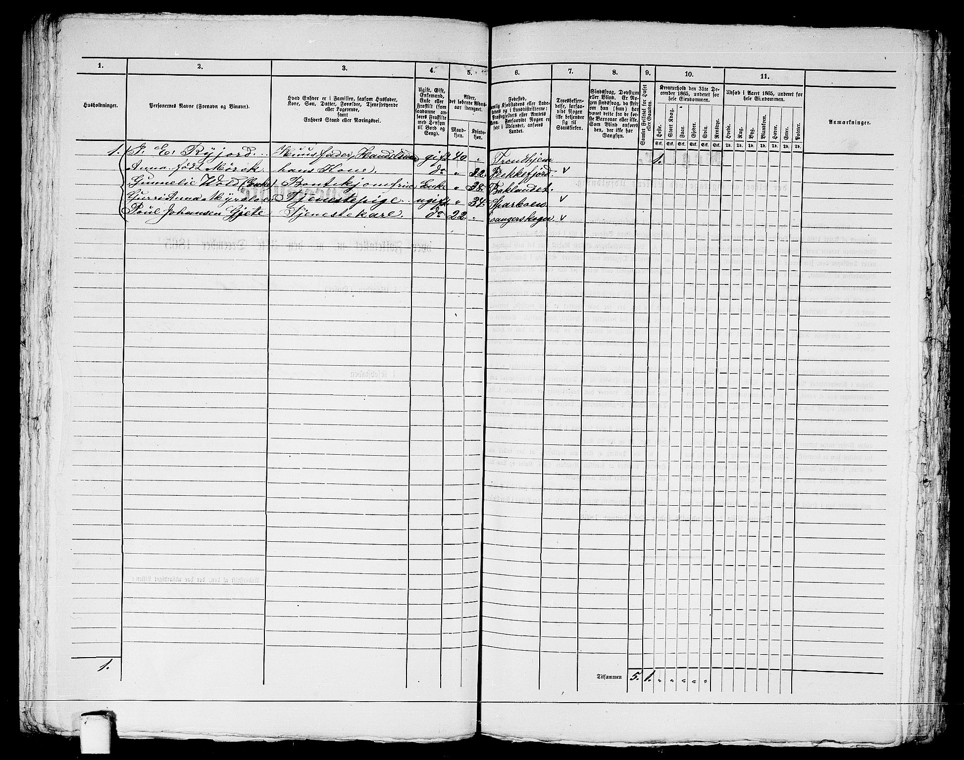 RA, 1865 census for Trondheim, 1865, p. 1296