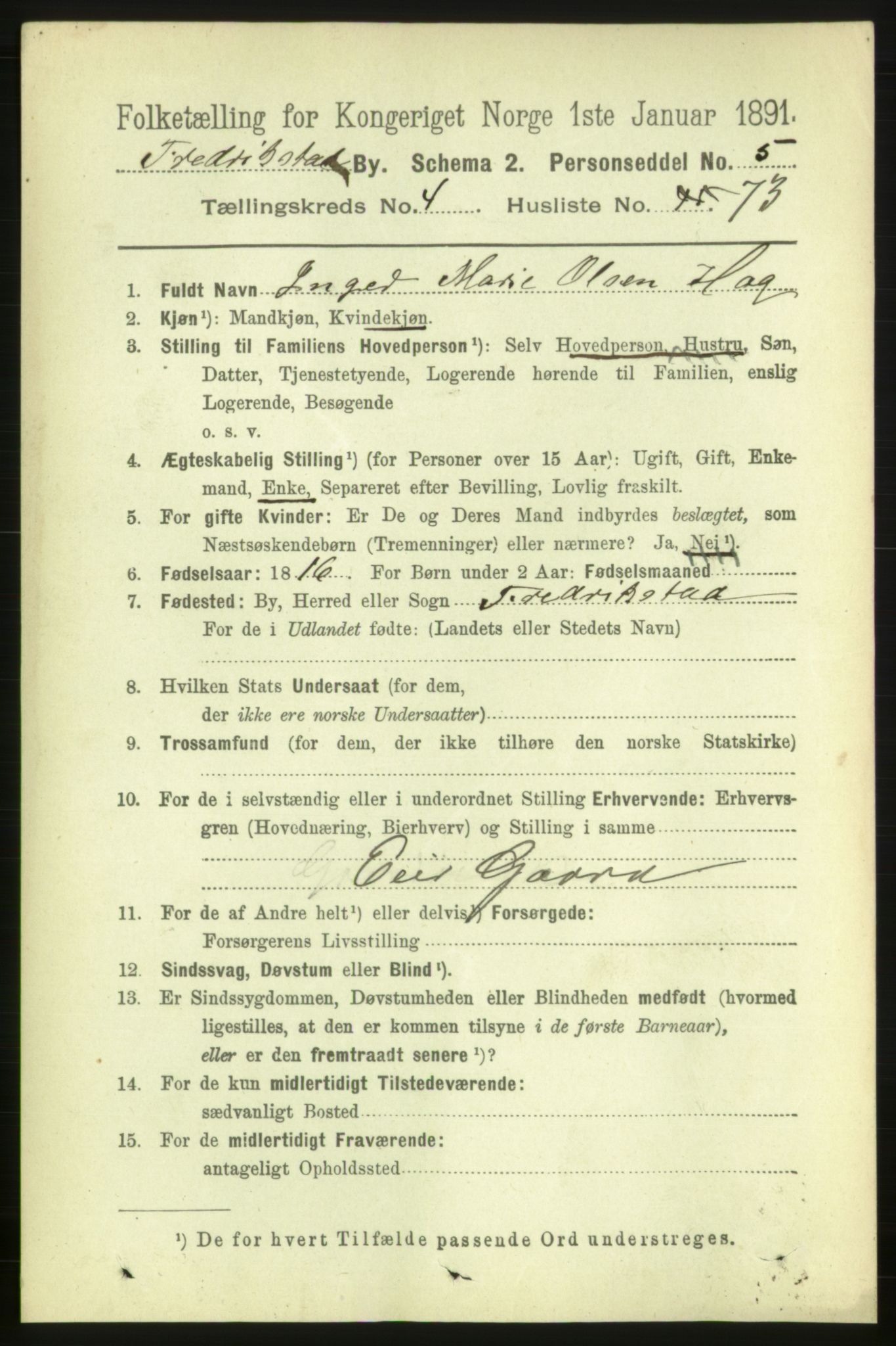 RA, 1891 census for 0103 Fredrikstad, 1891, p. 6819