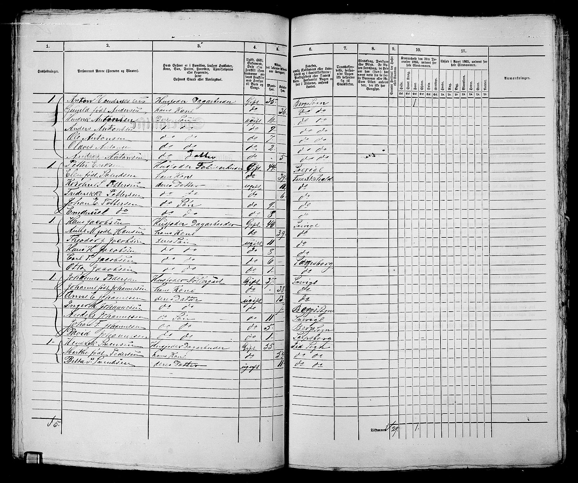 RA, 1865 census for Sarpsborg, 1865, p. 217