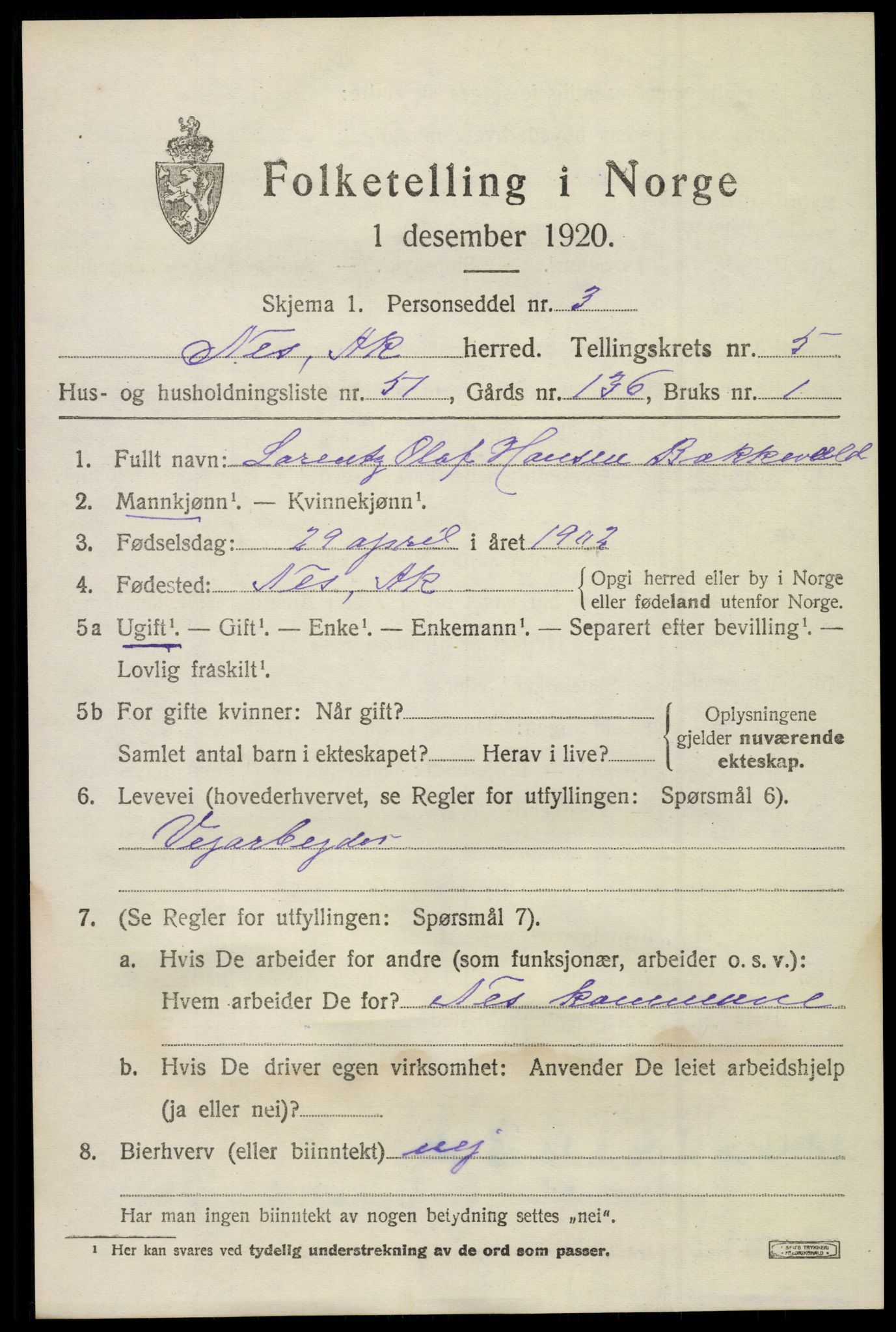 SAO, 1920 census for Nes, 1920, p. 7104