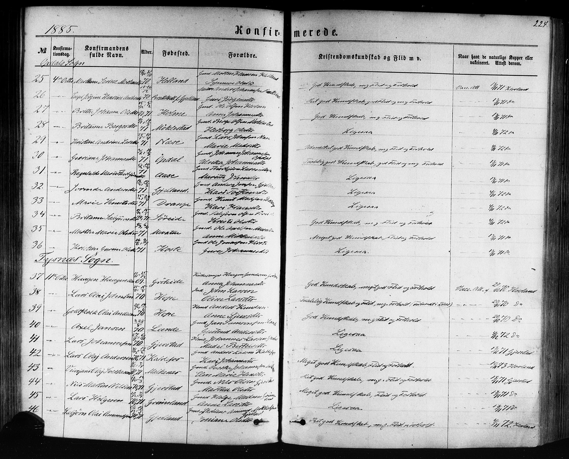 Tysnes sokneprestembete, SAB/A-78601/H/Haa: Parish register (official) no. A 12, 1872-1886, p. 224